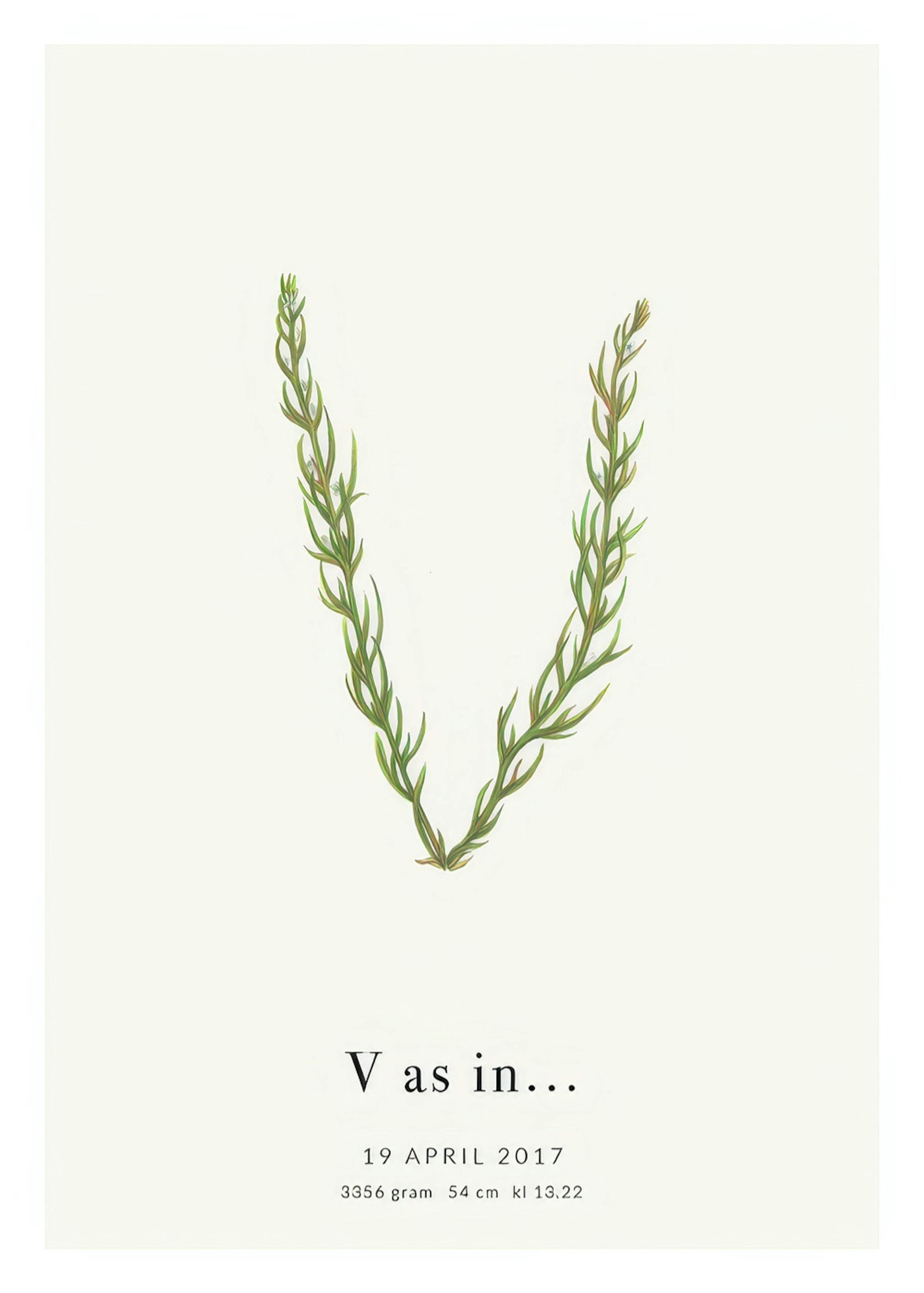 Botanic Letter V Personal Poster thumbnail