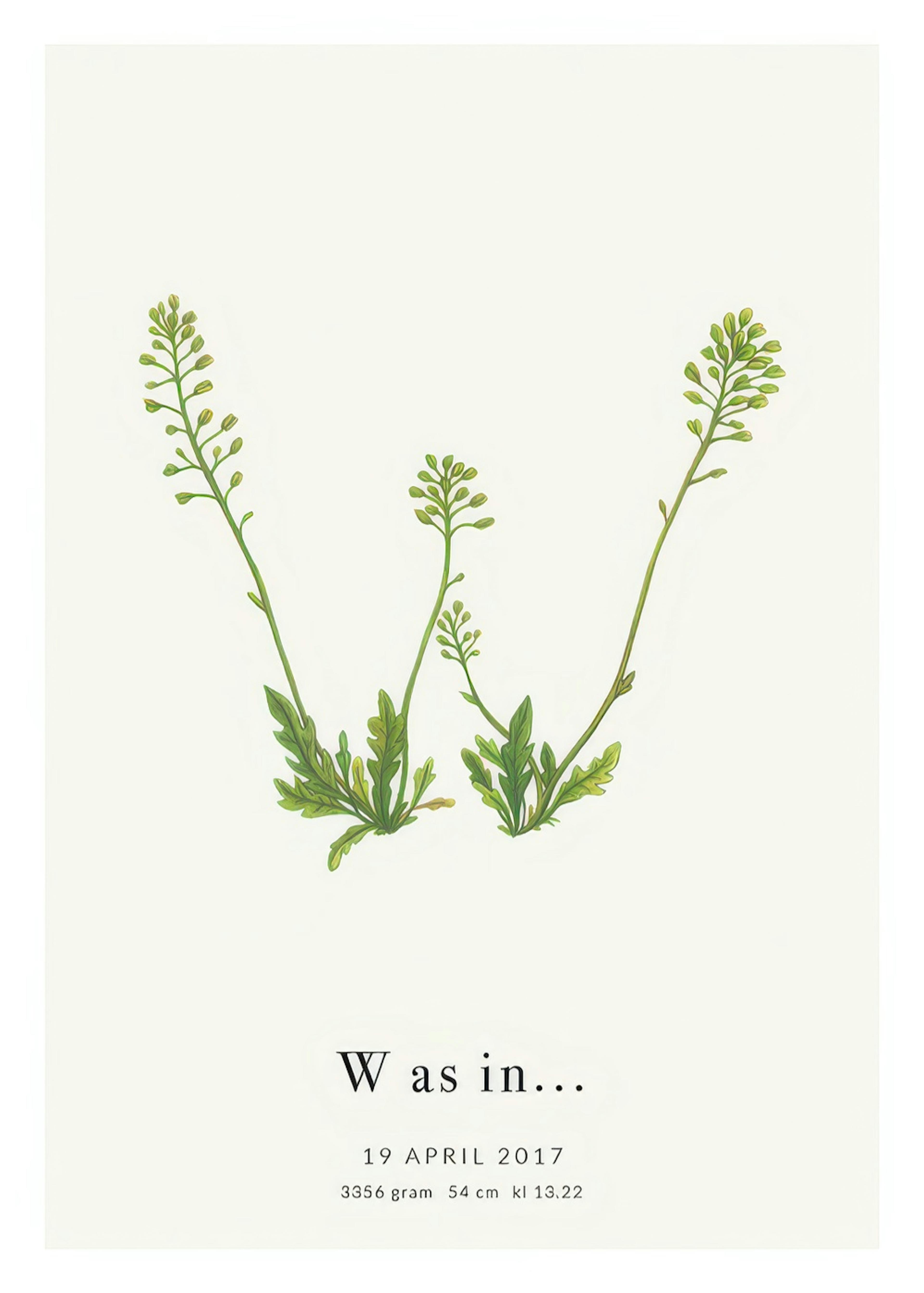 Botanic Letter W Personal Poster thumbnail