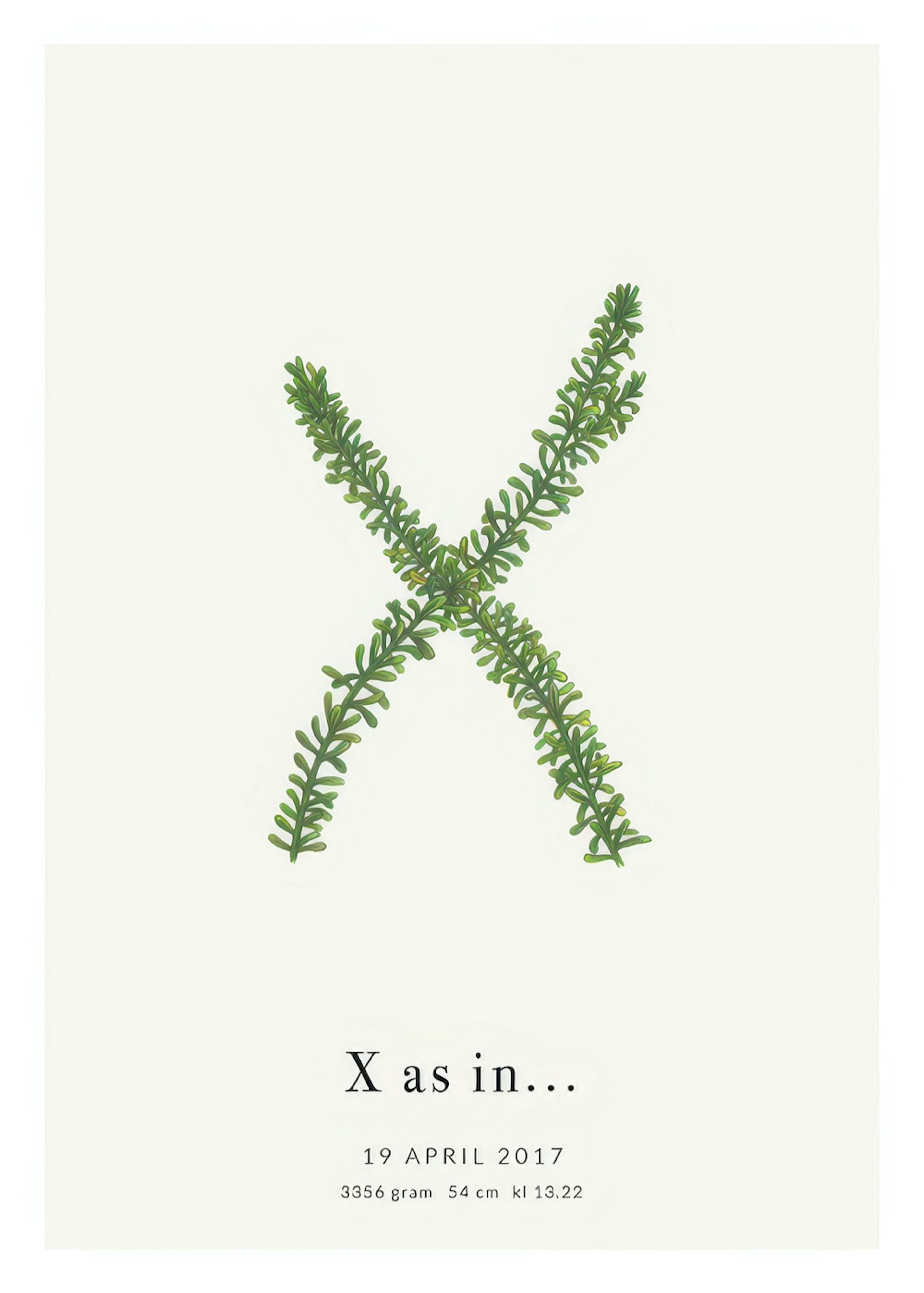 Botanic Letter X Personal Poster thumbnail