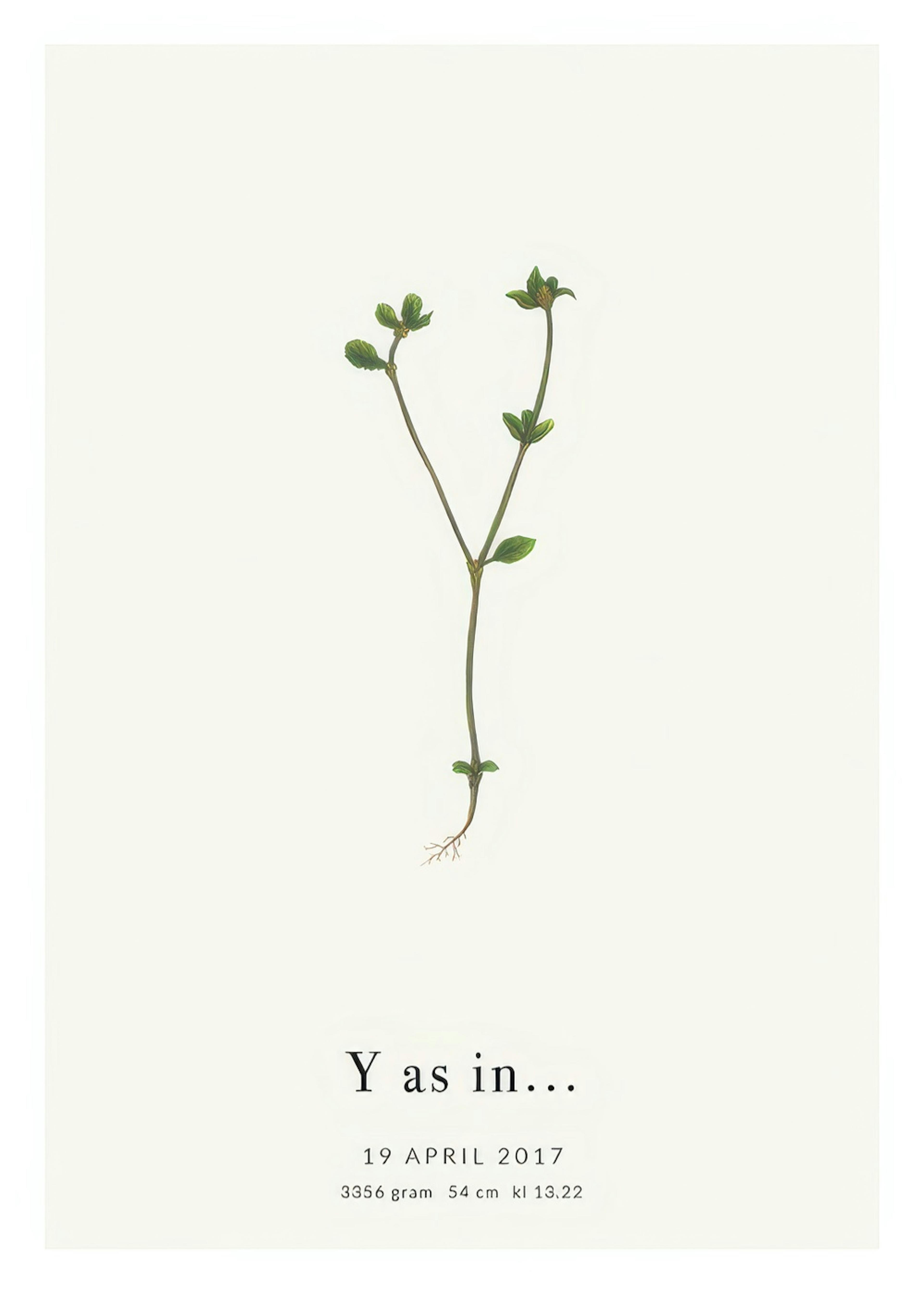 Botanic Letter Y Personal Poster thumbnail