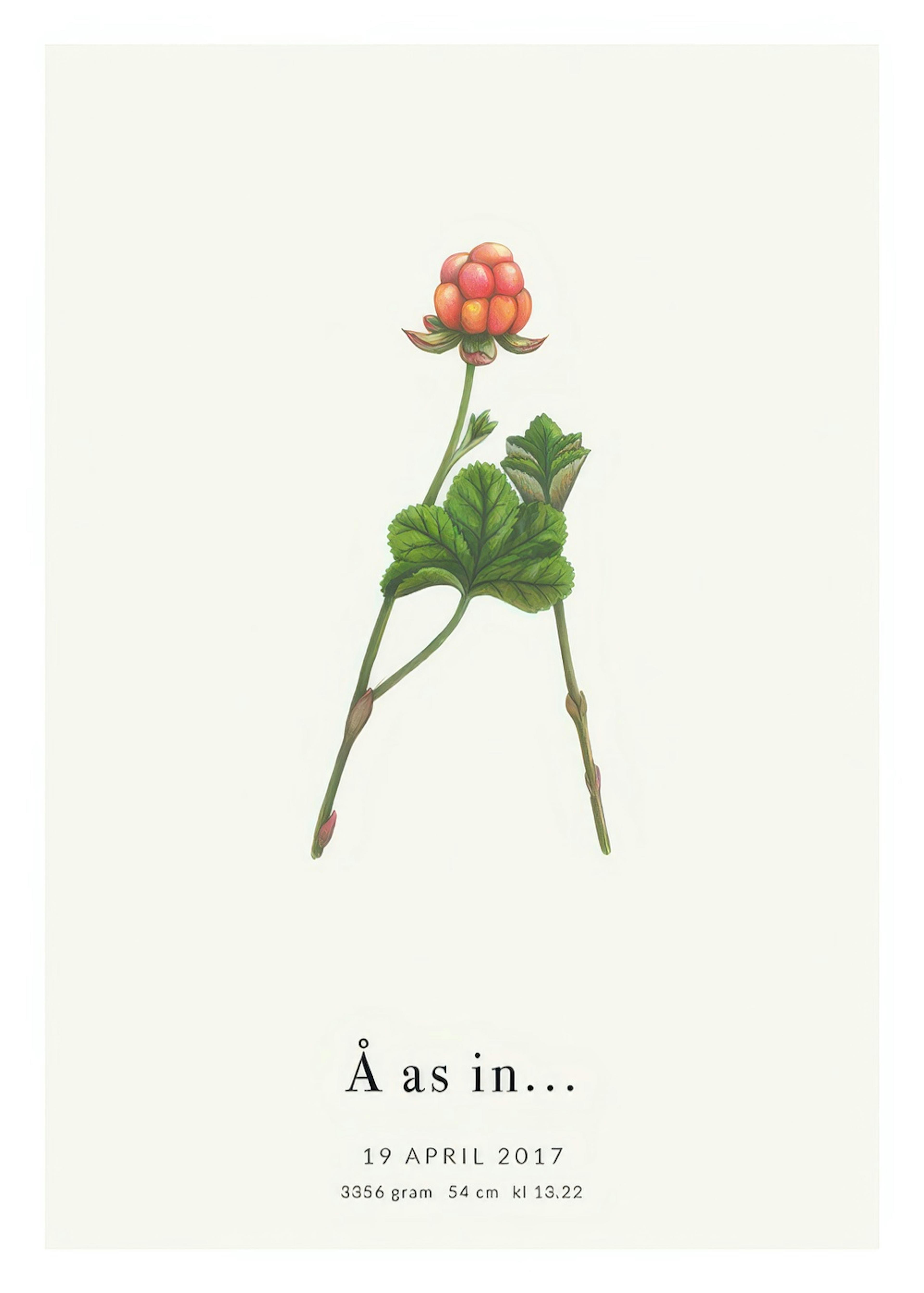 Botanisk Bokstav Å Personlig Poster thumbnail