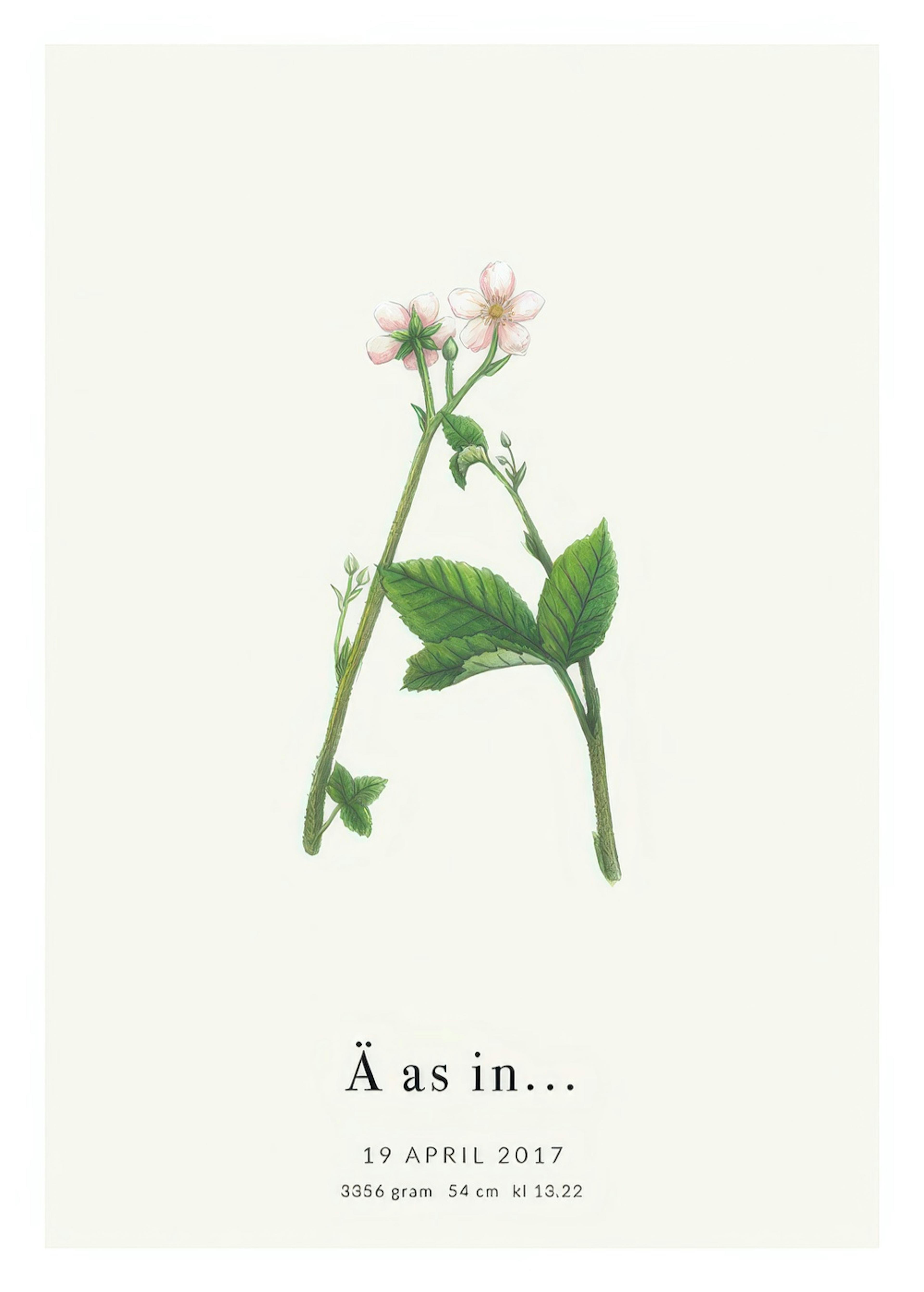 Botanischer Buchstabe Ä Personalisiert Poster thumbnail