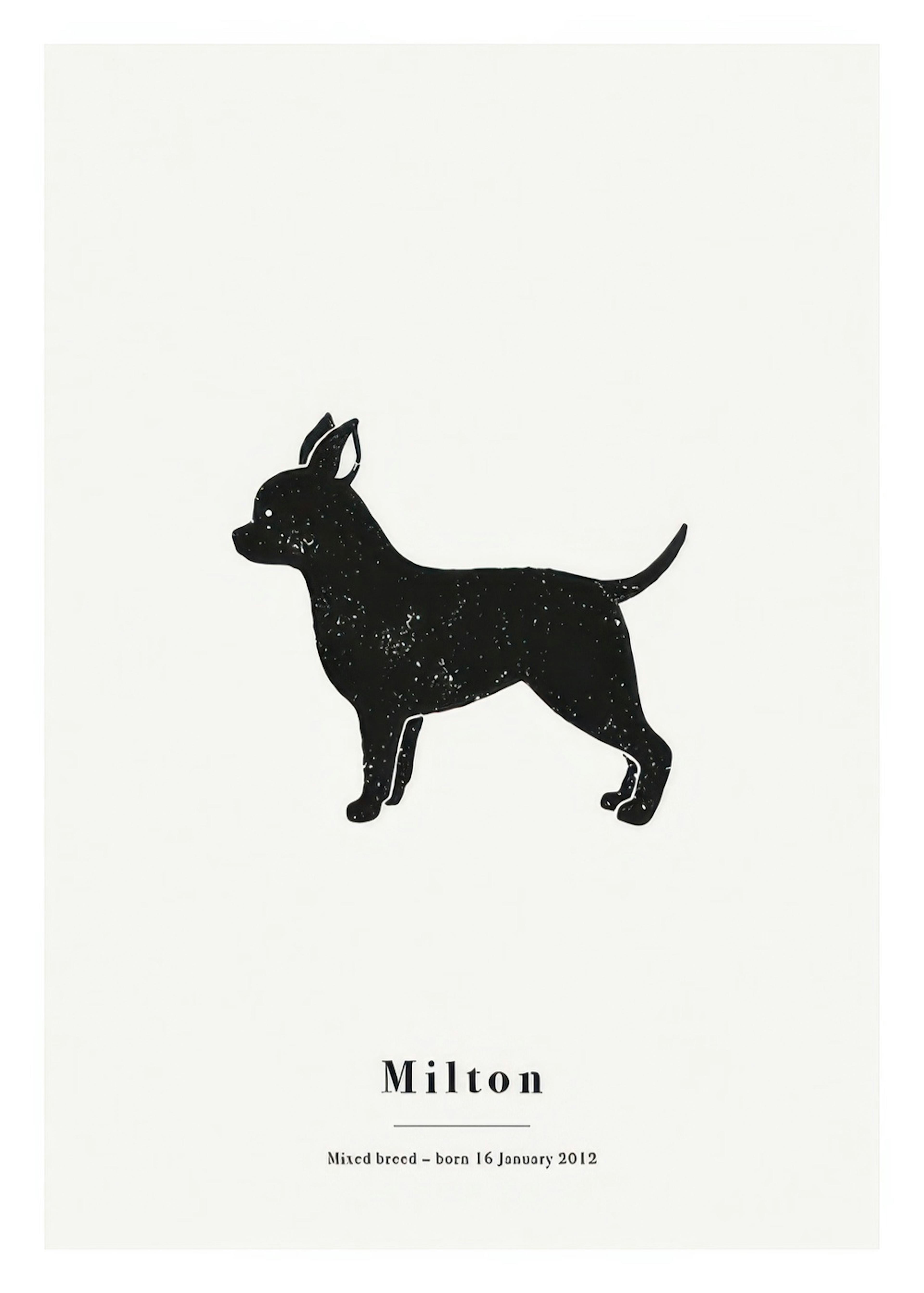 My Pet Chihuahua Personal Poster thumbnail