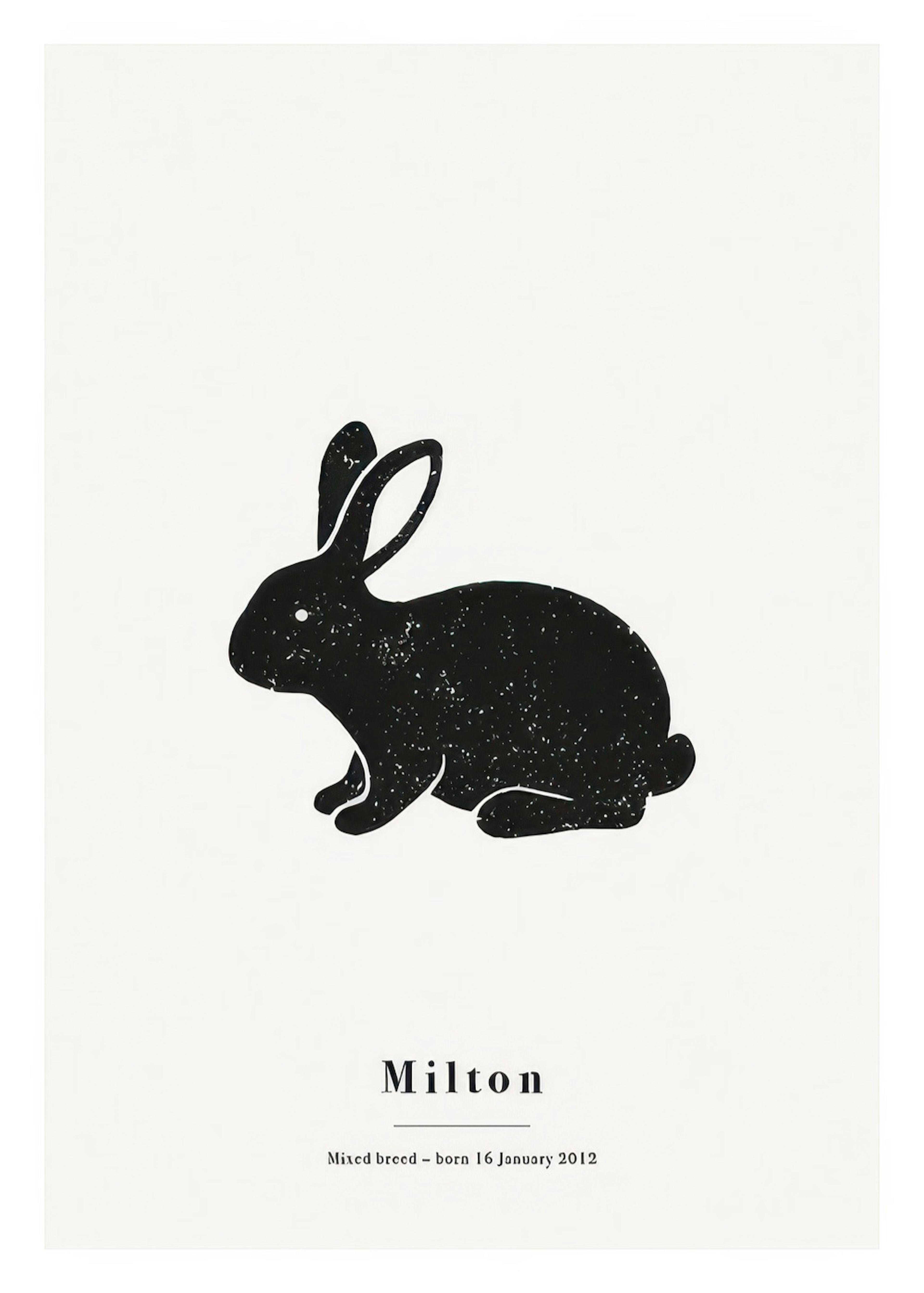 Mein Haustier Hase Personalisiert Poster thumbnail