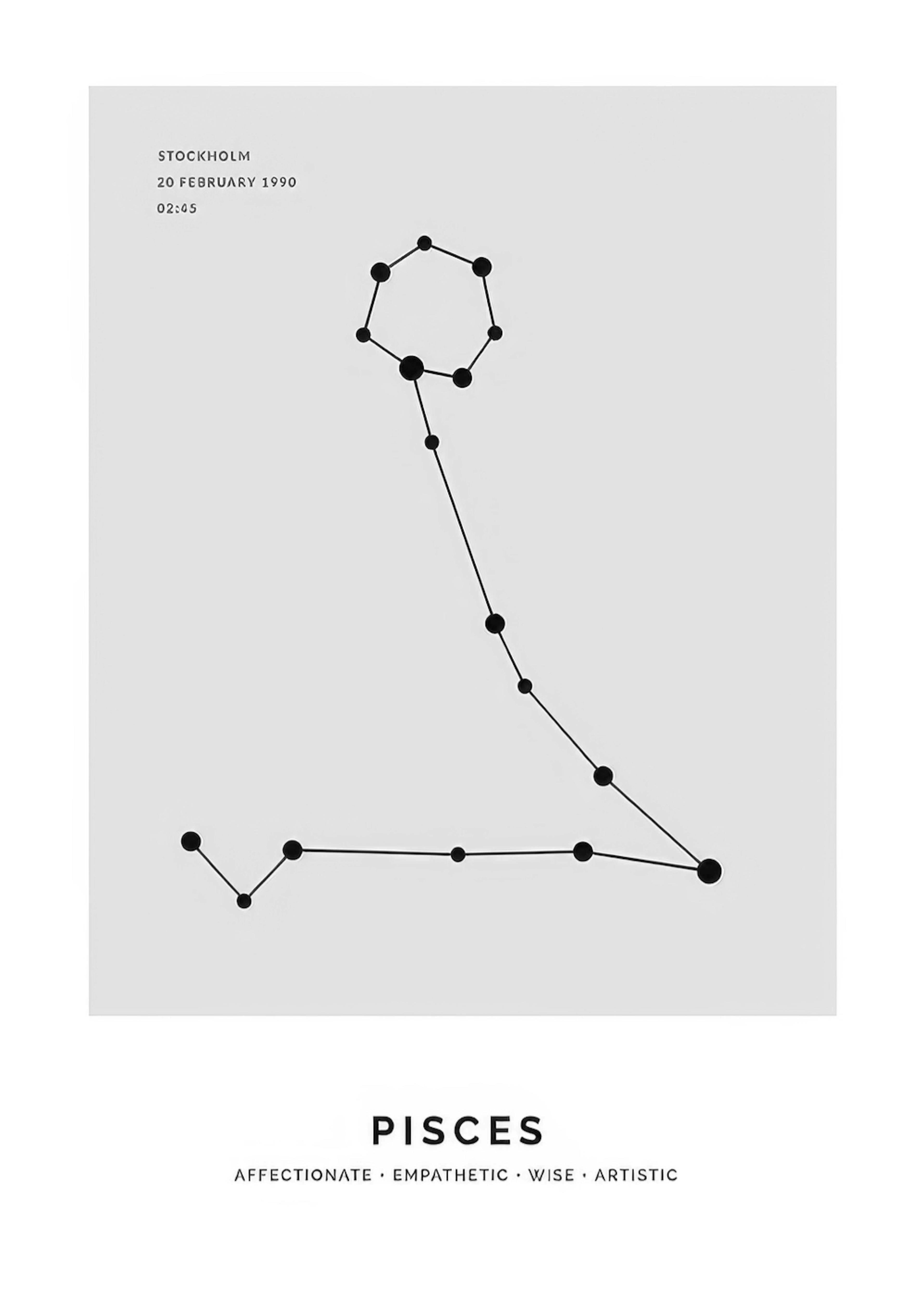 Constellation Grey Pisces Personal Poster thumbnail