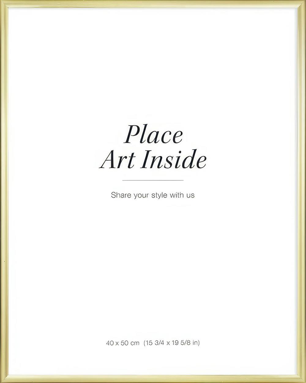 A poster with a white background and the text Place Art Inside in black, framed by a thin gold border.