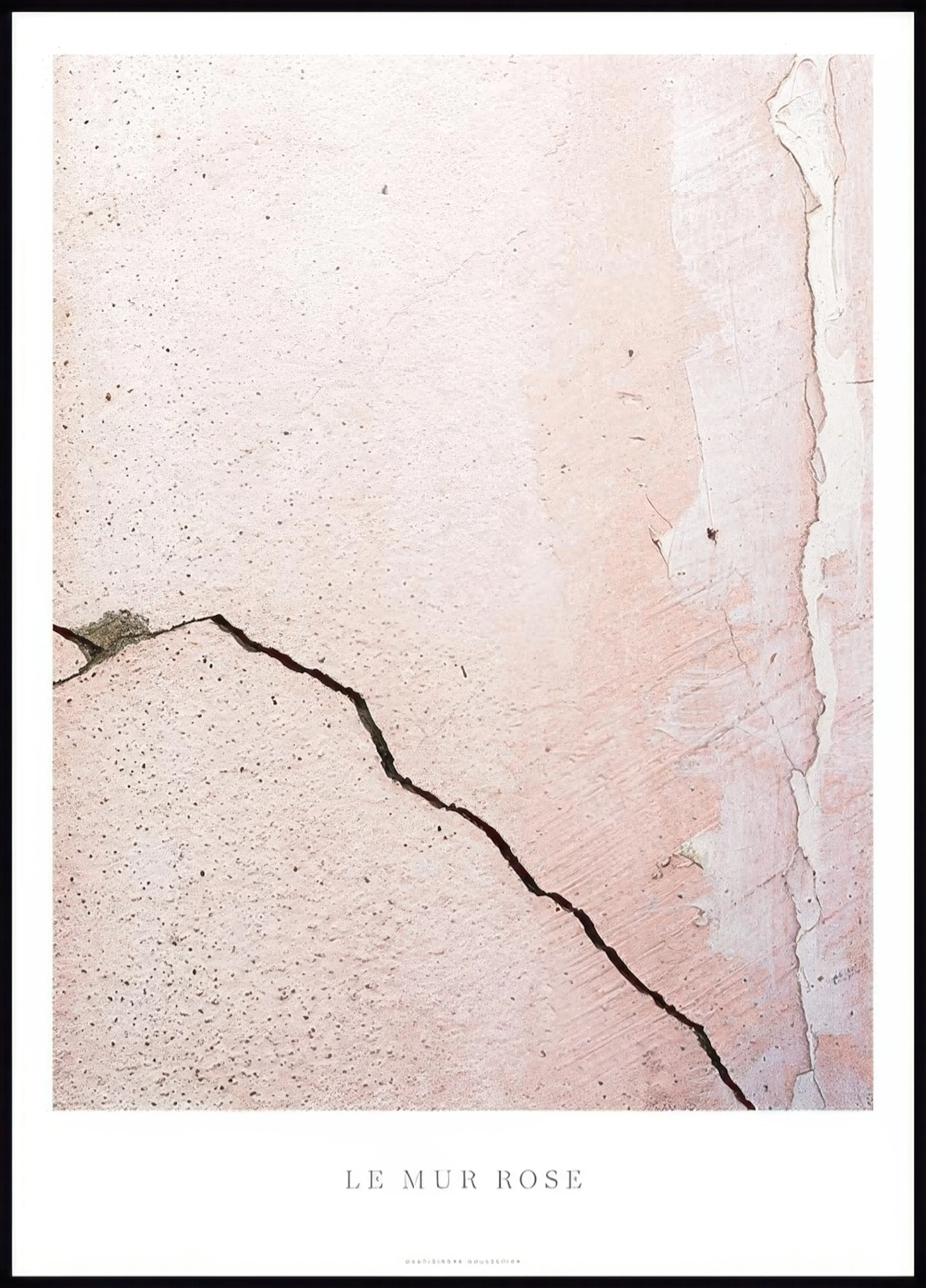 A poster featuring a close-up of a cracked, textured pink and beige wall, with LE MUR ROSE text below.