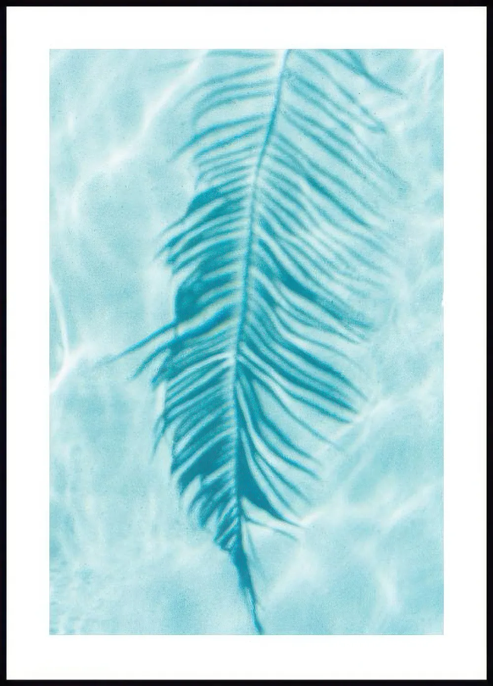 Ein Poster mit dem Schatten einer Palme auf einem hellblauen Wasserhintergrund.
