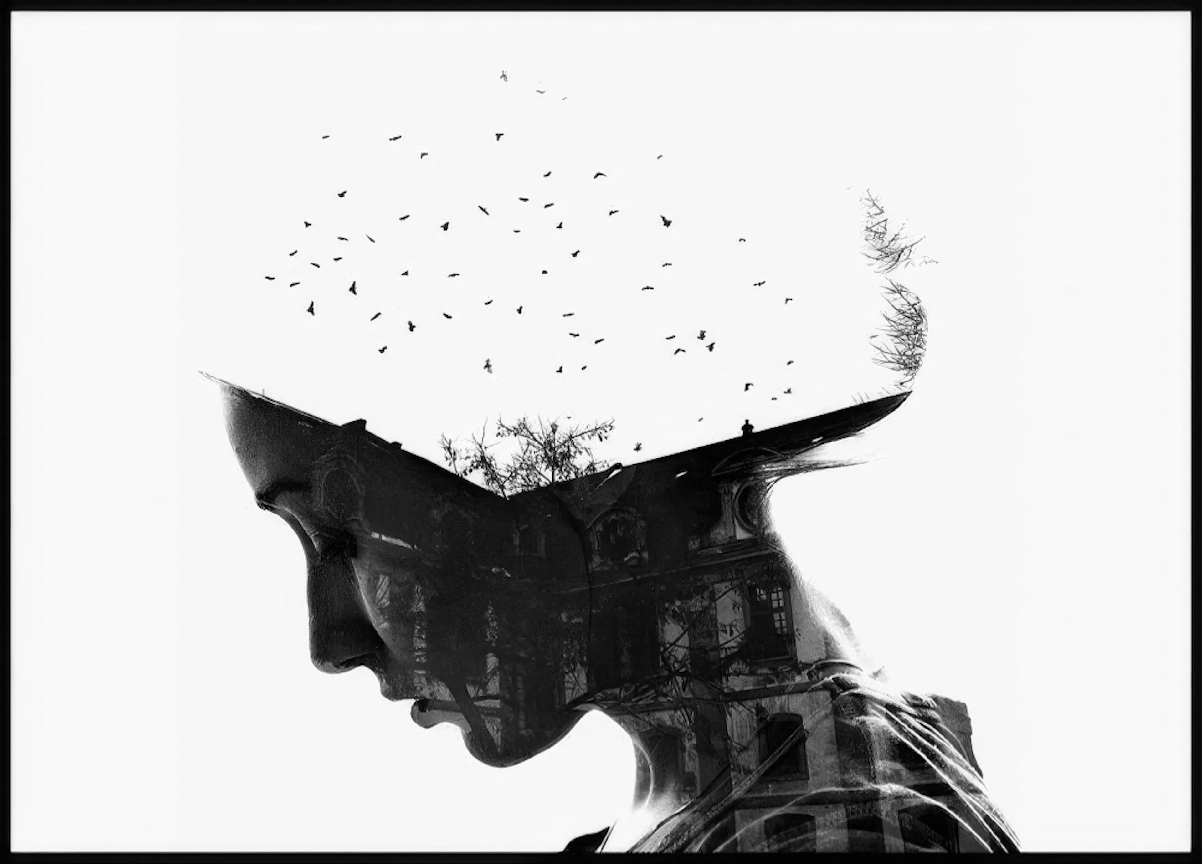 Mustavalkoinen juliste, jossa on naisen pään siluetti, ja sen sisällä näkyy rakennus, puita ja lentäviä lintuja.