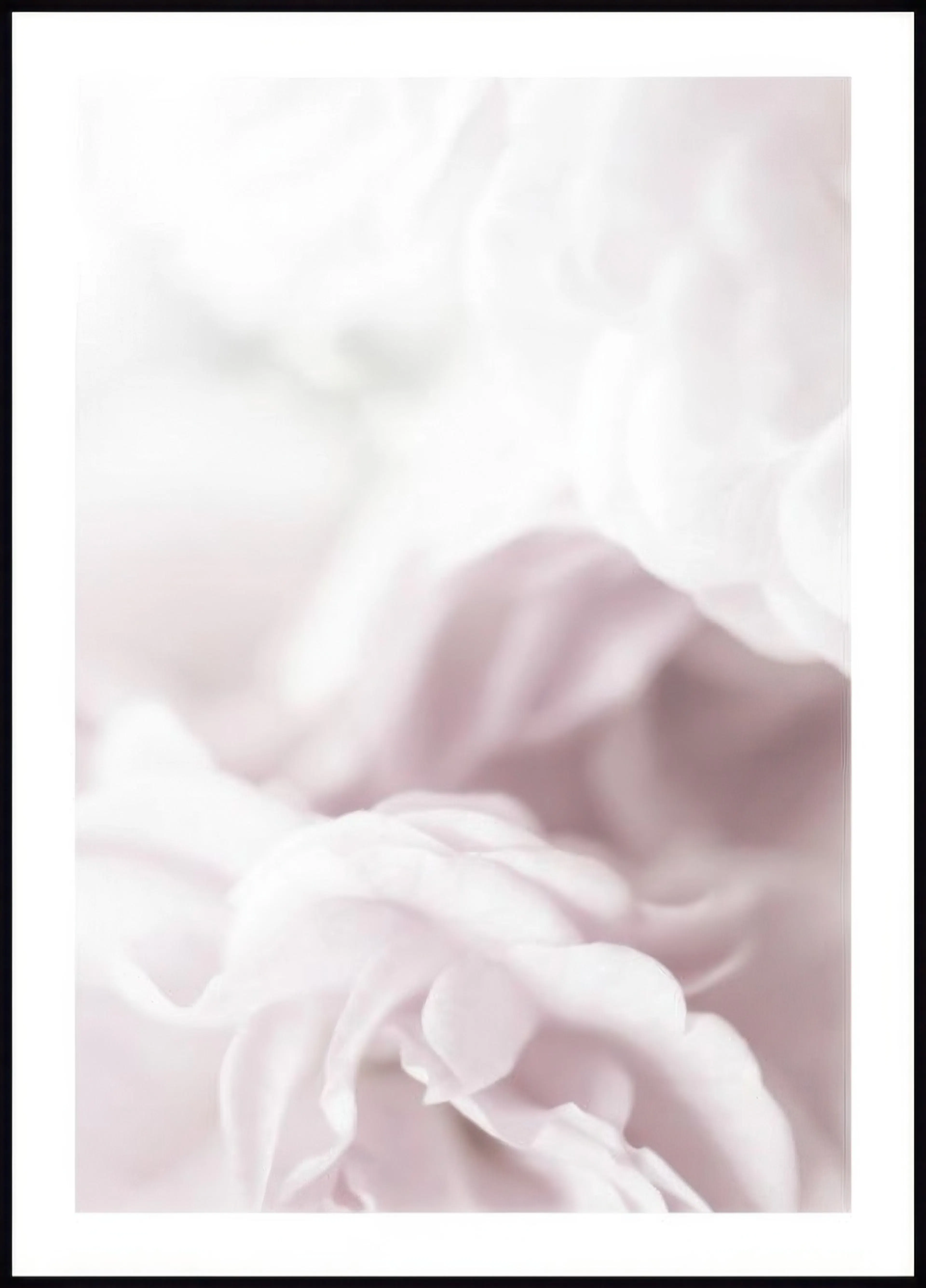 A poster featuring a close-up of soft, light pink rose petals with a dreamy, ethereal blur effect.