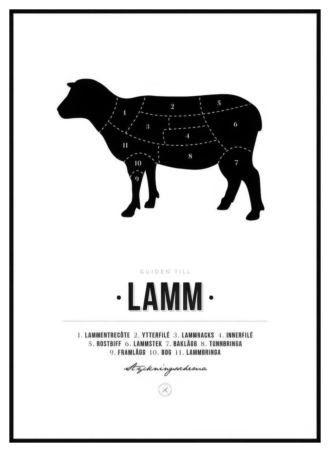 Styckningsschema Lamm Poster (40x50 cm) - Poster Store