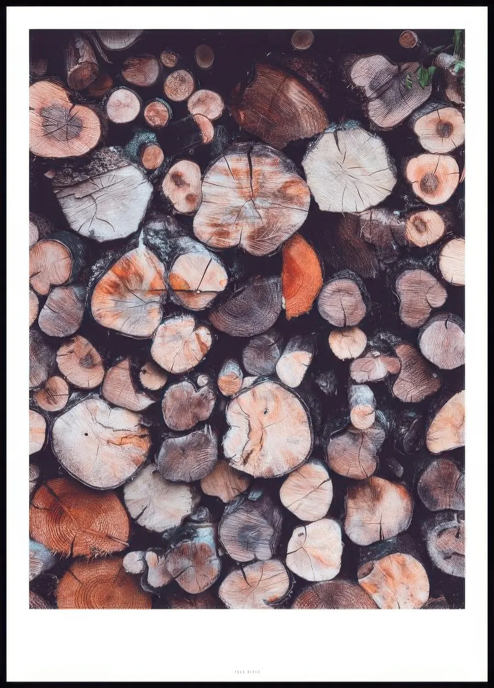 Plakát s detailním záběrem na hromadu nařezaných polen s viditelnými letokruhy a prasklinami, v zemitých odstínech.