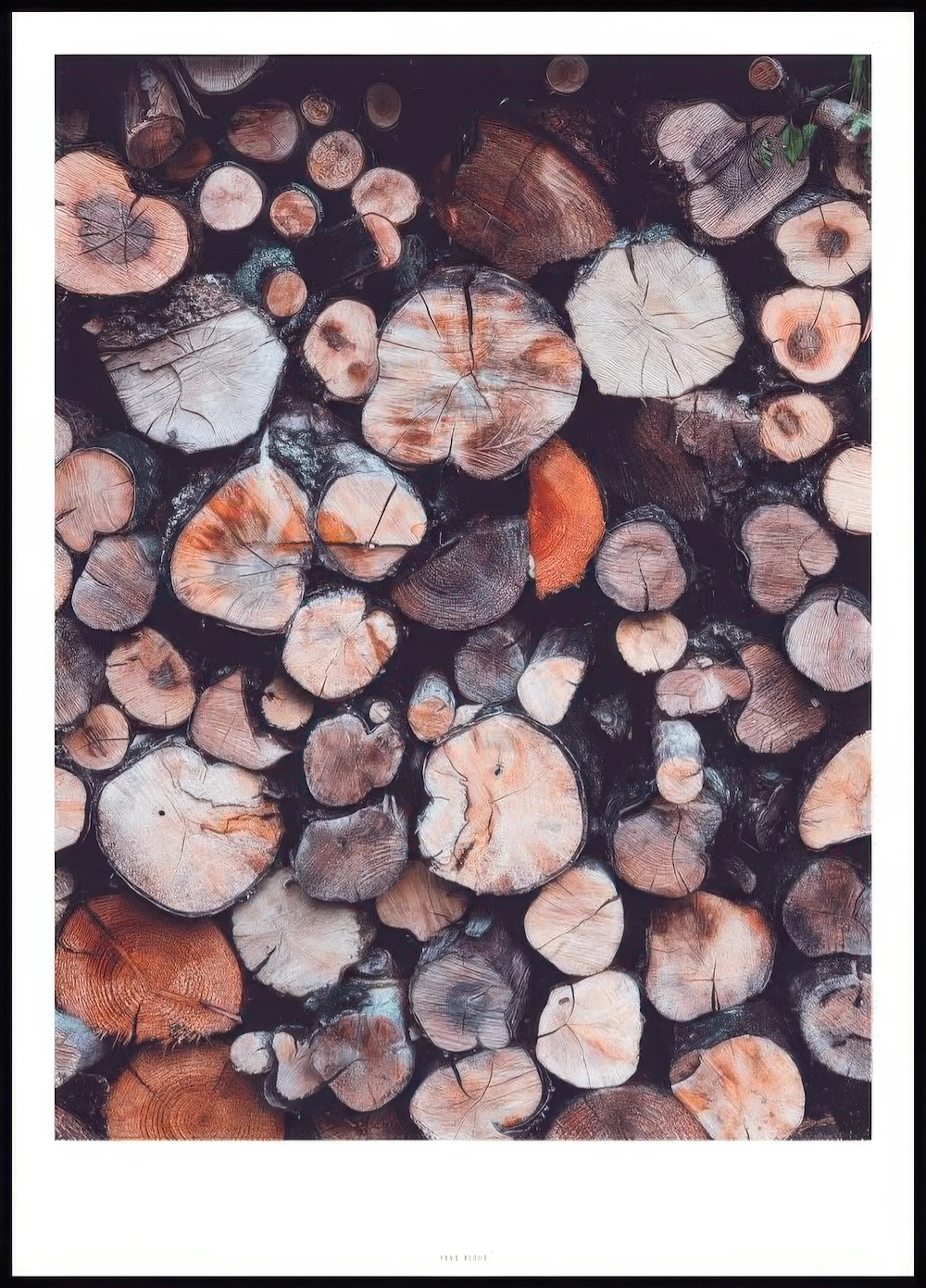 Plakát s detailním záběrem na hromadu nařezaných polen s viditelnými letokruhy a prasklinami, v zemitých odstínech.