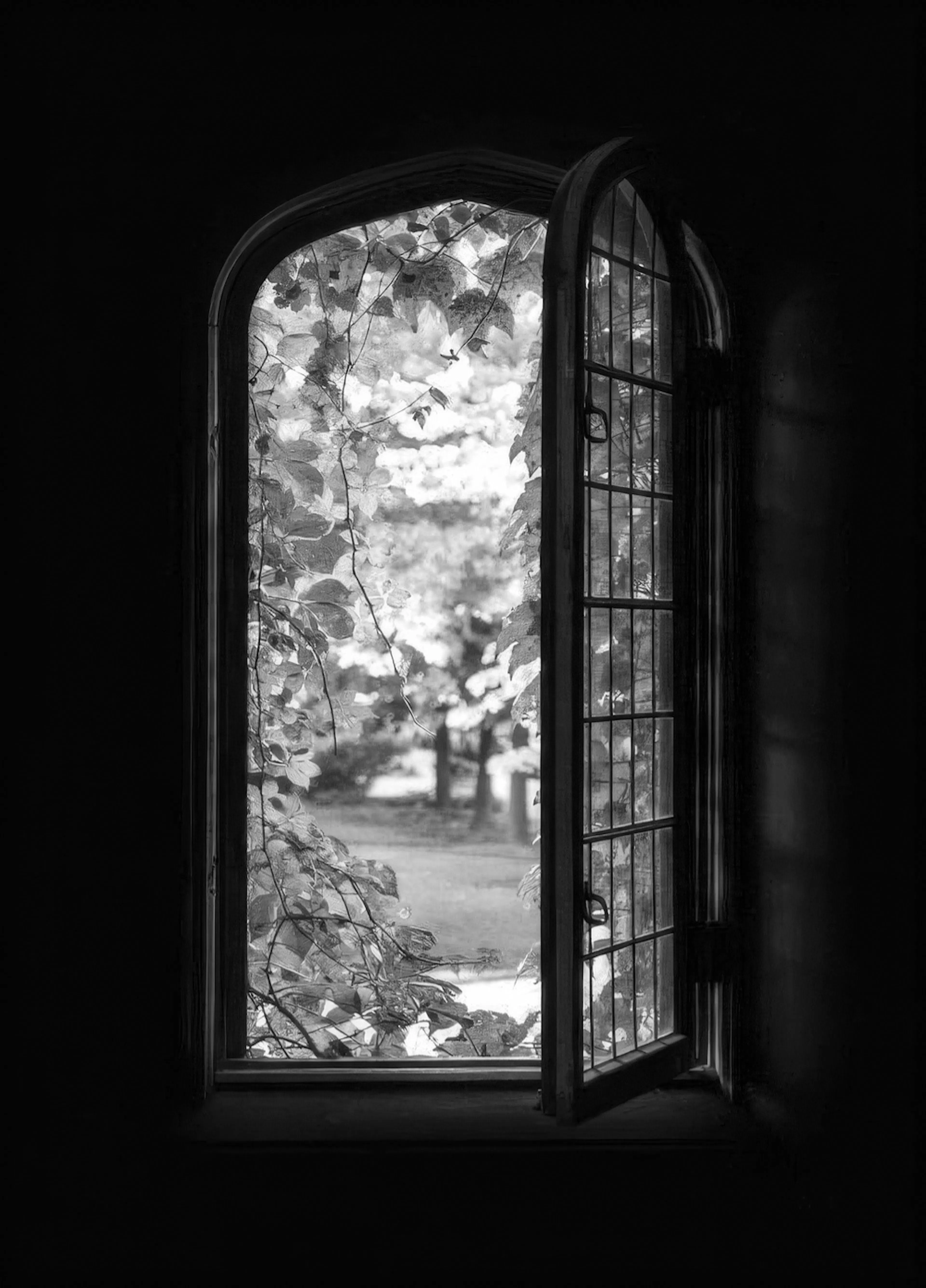 Mustavalkoinen juliste, jossa avoimesta ikkunasta näkyy ulos puutarhaan tummaa, dramaattista tunnelmaa luoden.