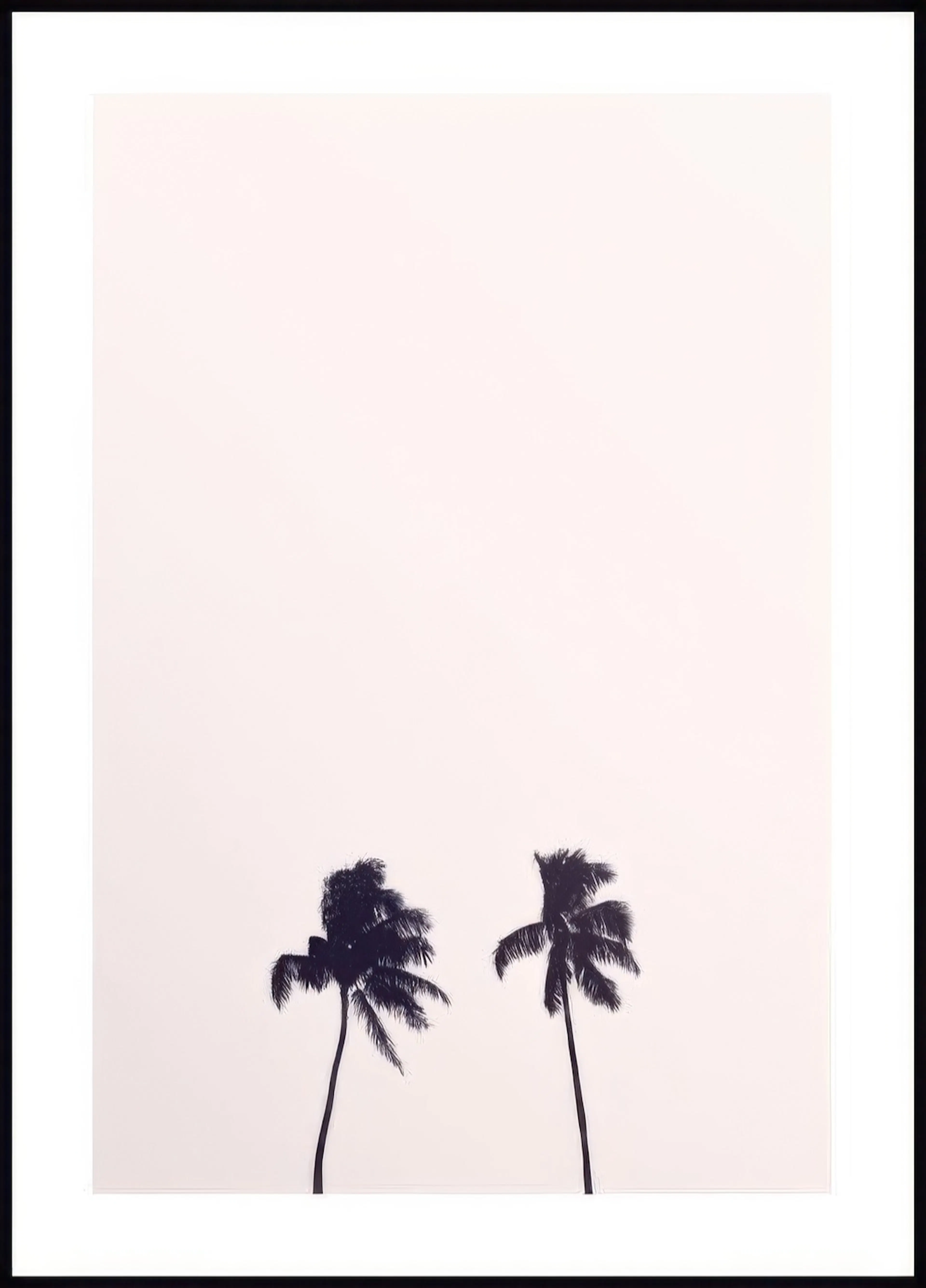 Plakát s minimalistickým motivem dvou siluet palem na světle růžovém pozadí.