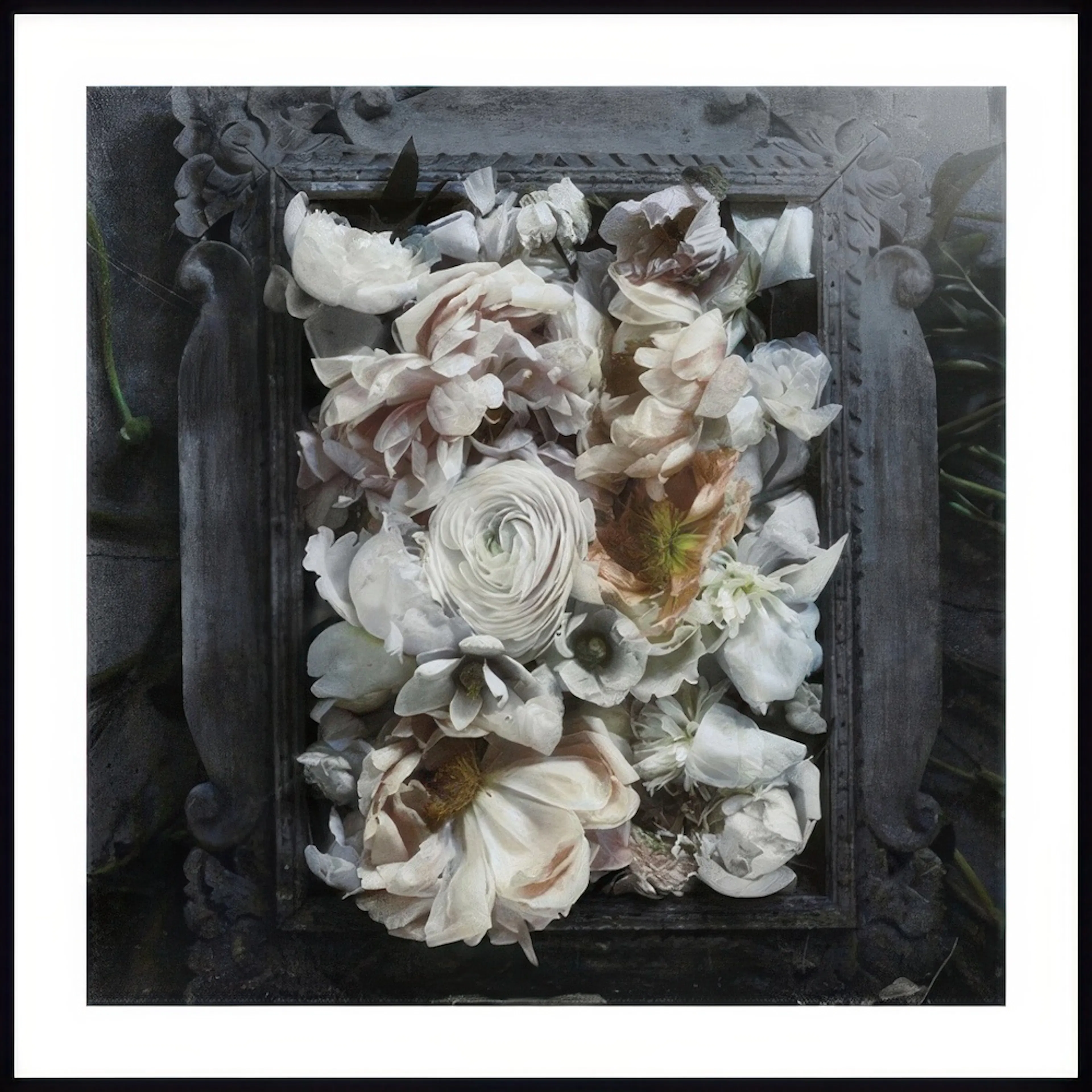 A poster featuring a dark, moody arrangement of cream and blush flowers within a textured, carved frame.