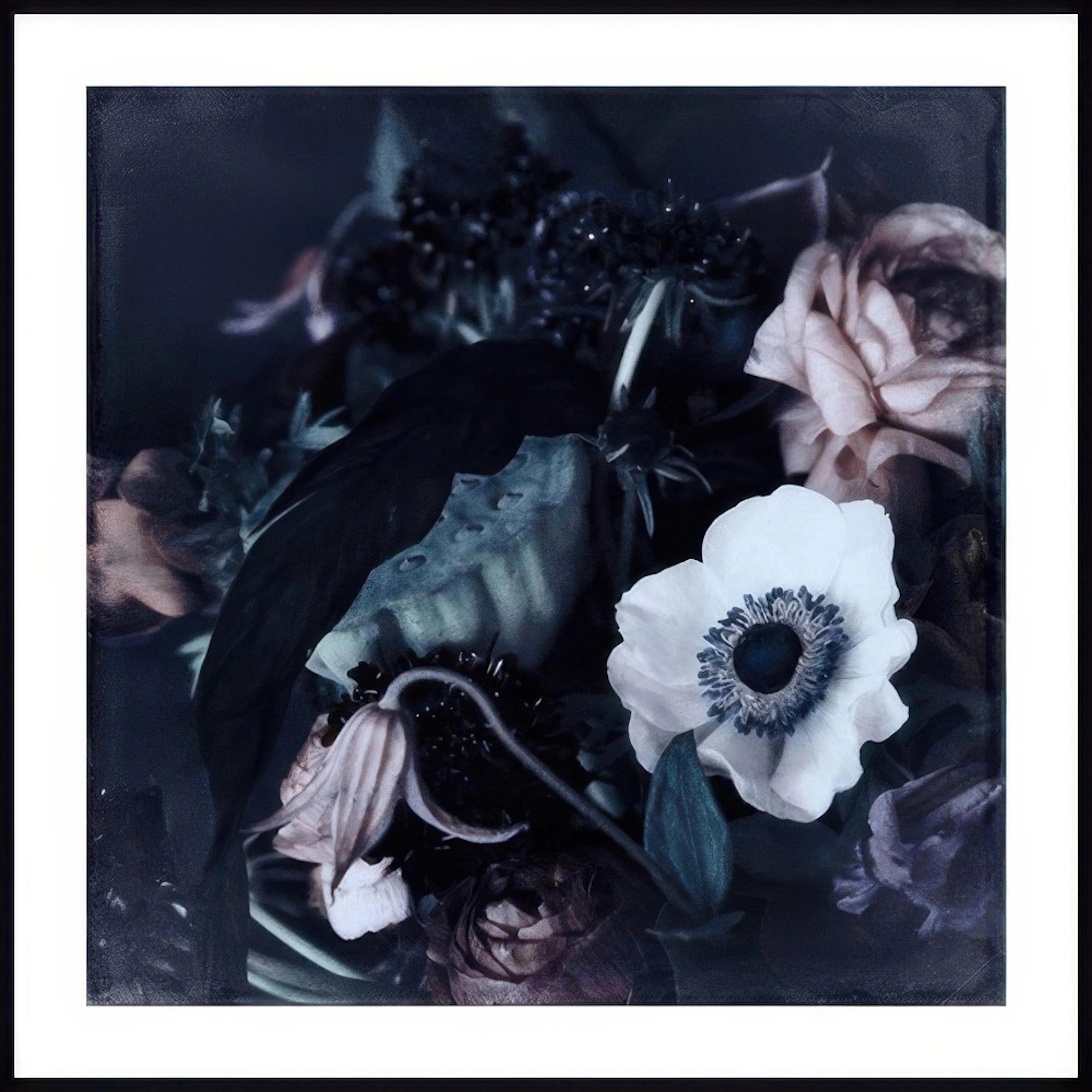 A dark floral poster with a prominent white anemone and blush pink flowers among moody green foliage.