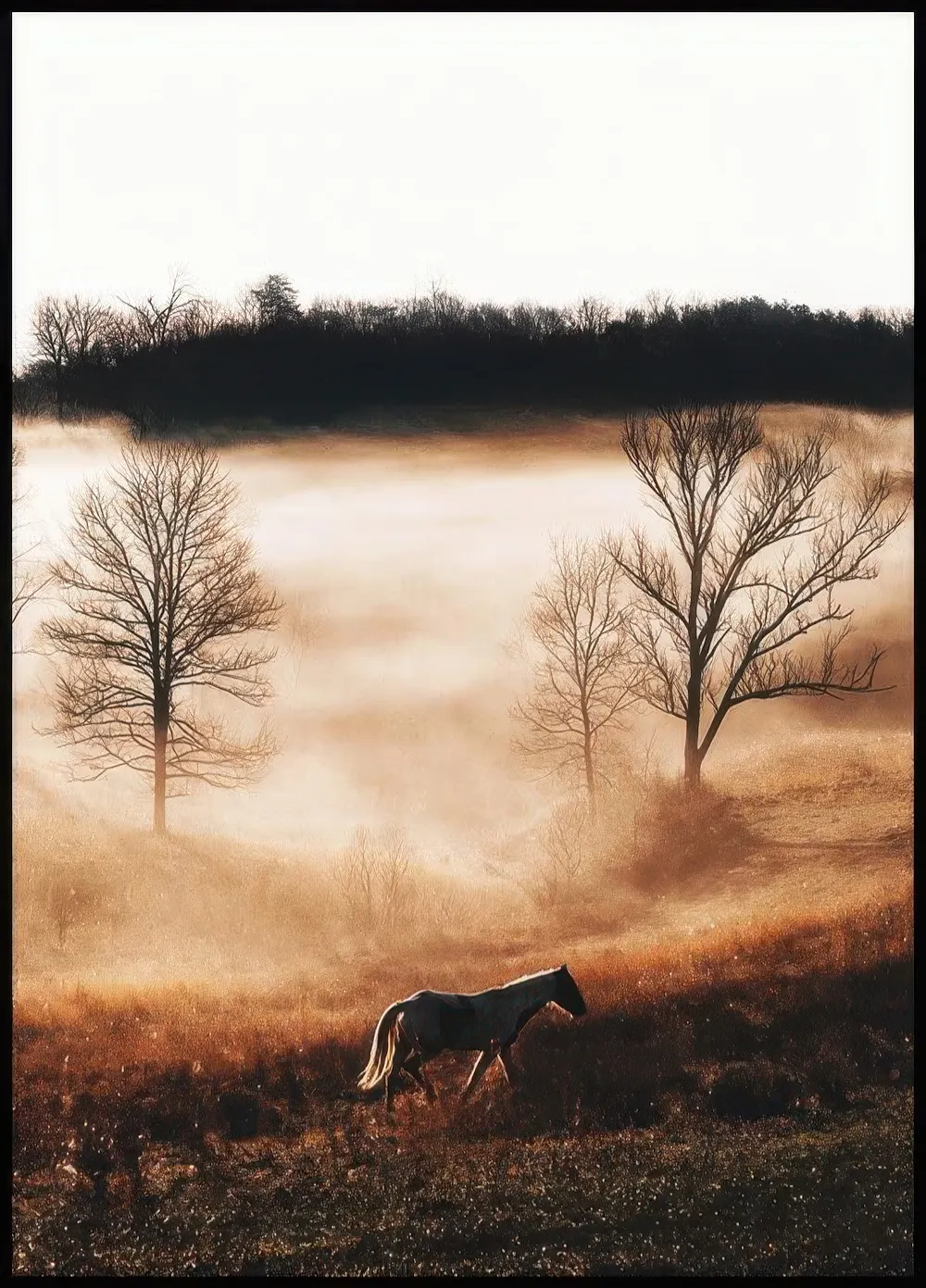 Poster: Ein Pferd in einer nebelverhangenen, goldenen Landschaft mit kahlen Bäumen und dunklem Wald im Hintergrund.