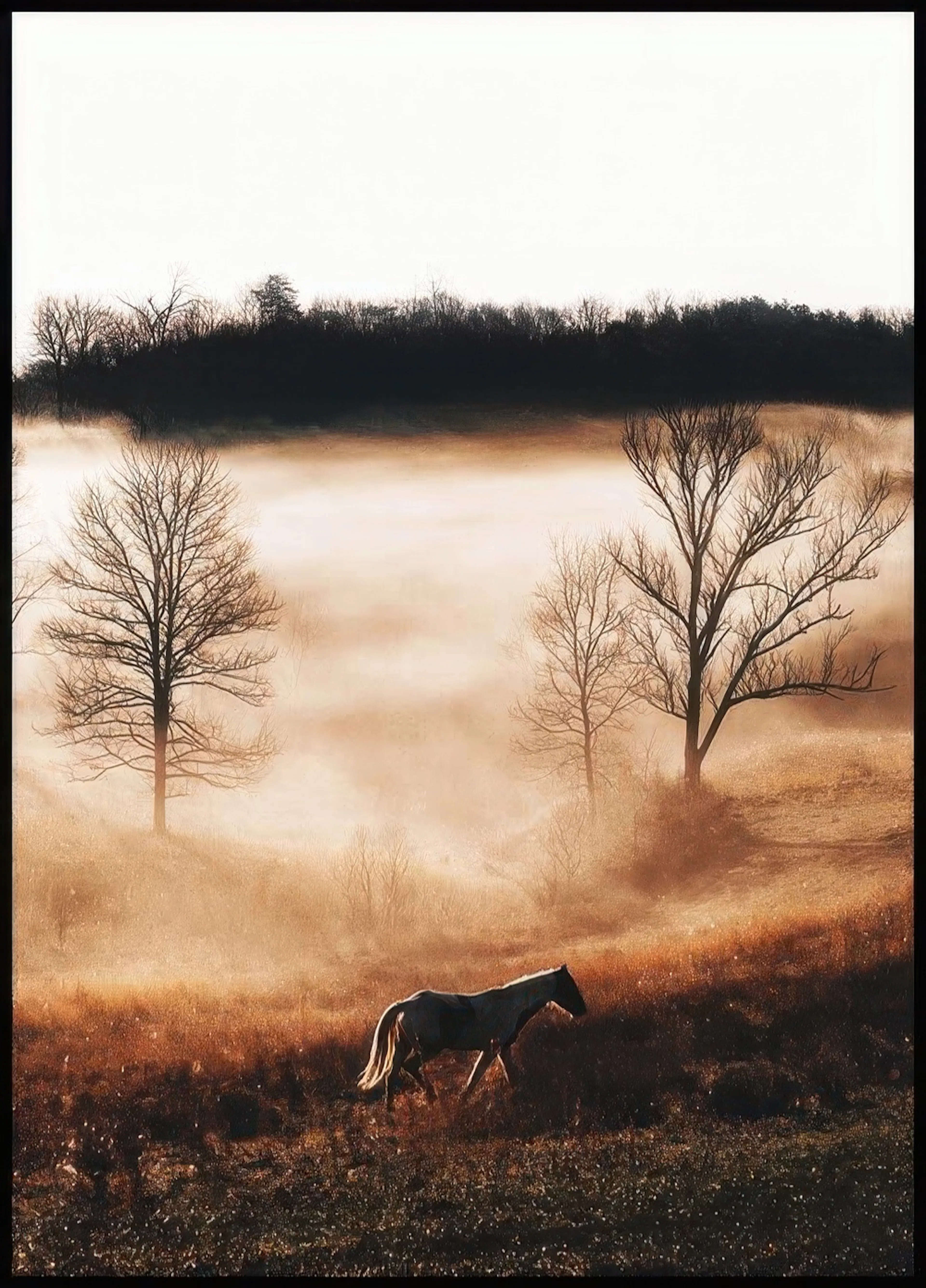 A poster featuring a lone horse walking through a golden misty field with bare trees and a dark forest background.