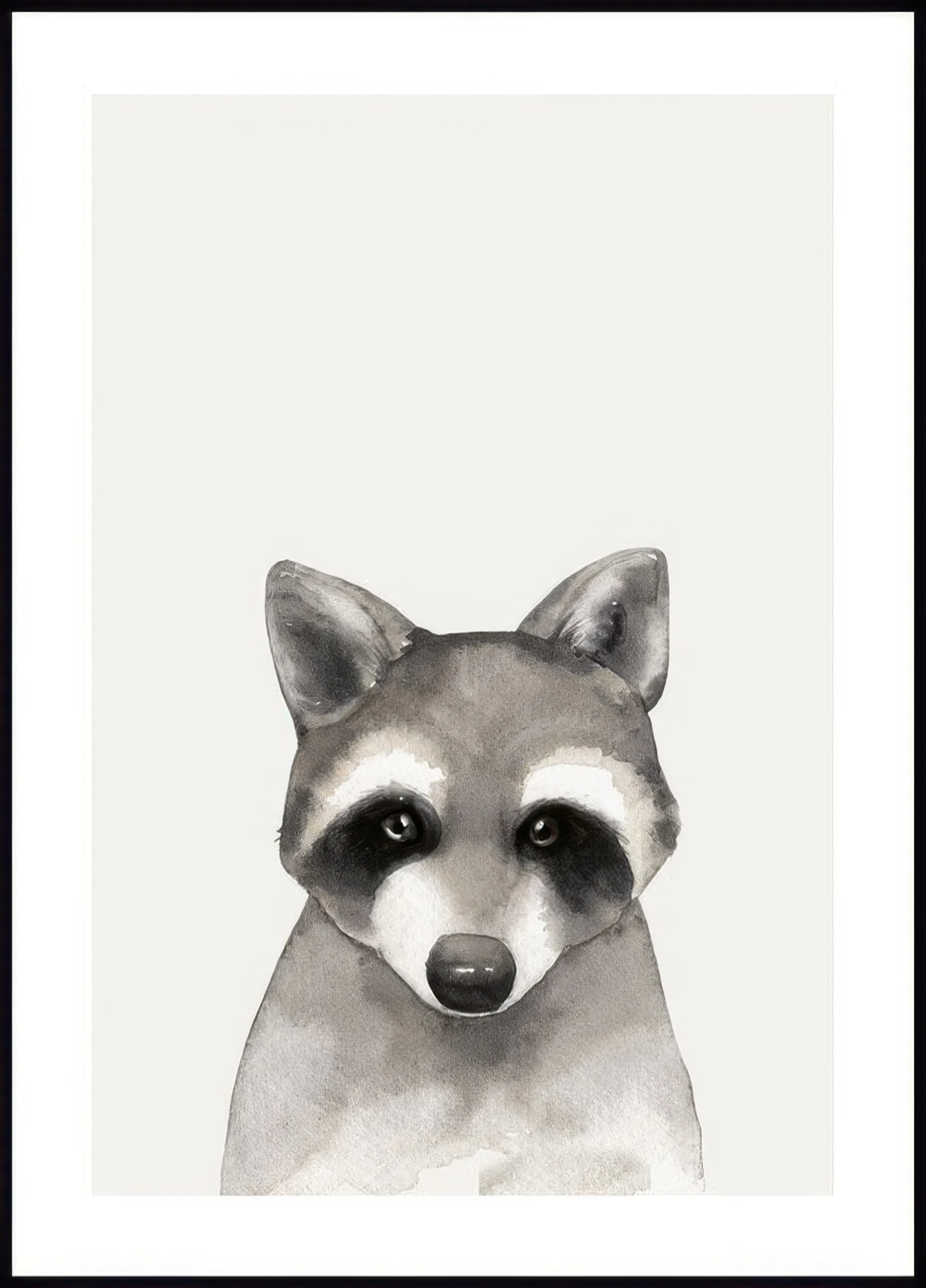 A poster featuring a watercolour illustration of a raccoon in shades of grey, with distinctive black eye markings.
