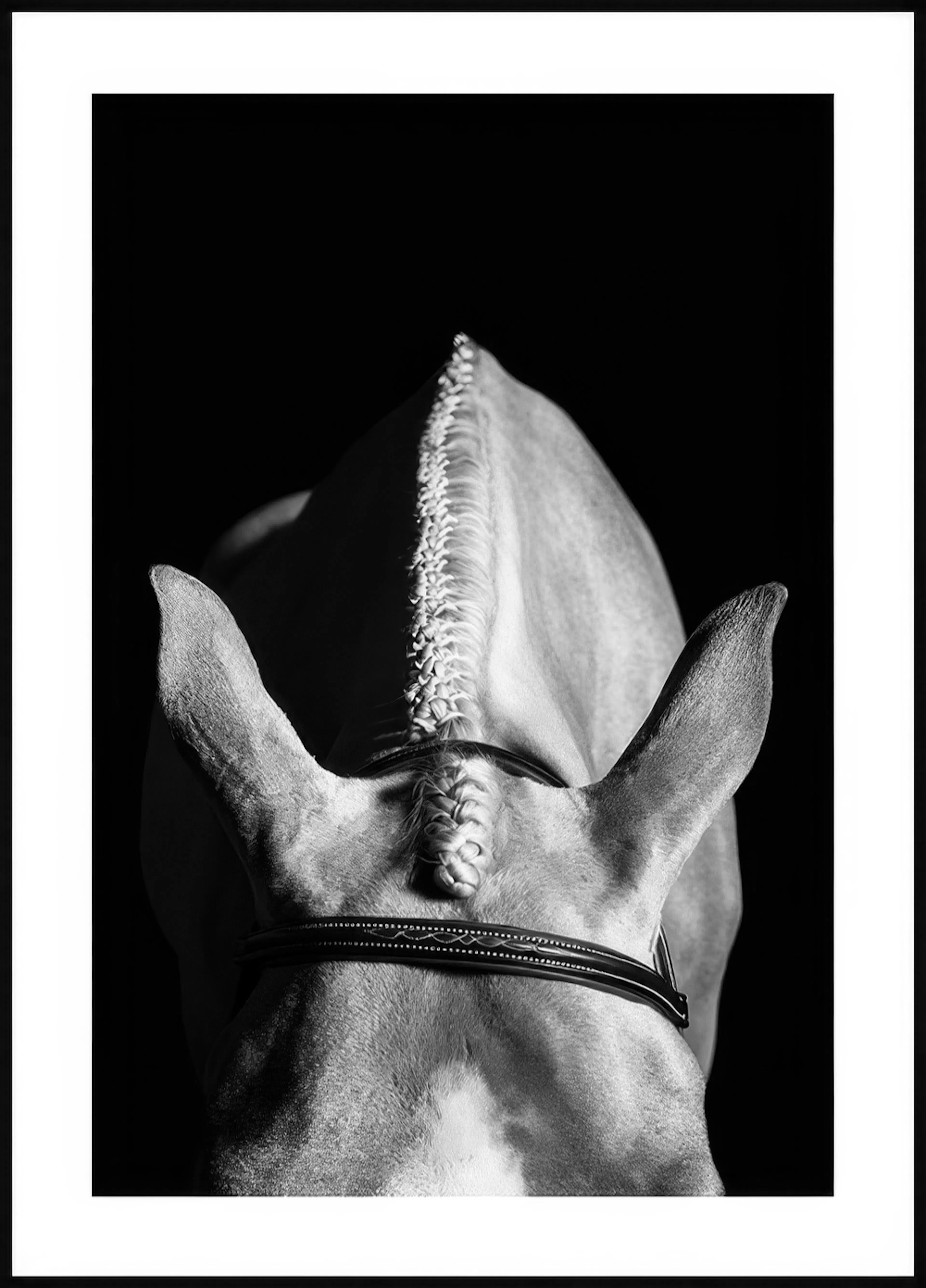 A striking black and white poster of a horse’s head and braided mane from above, against a dark background.