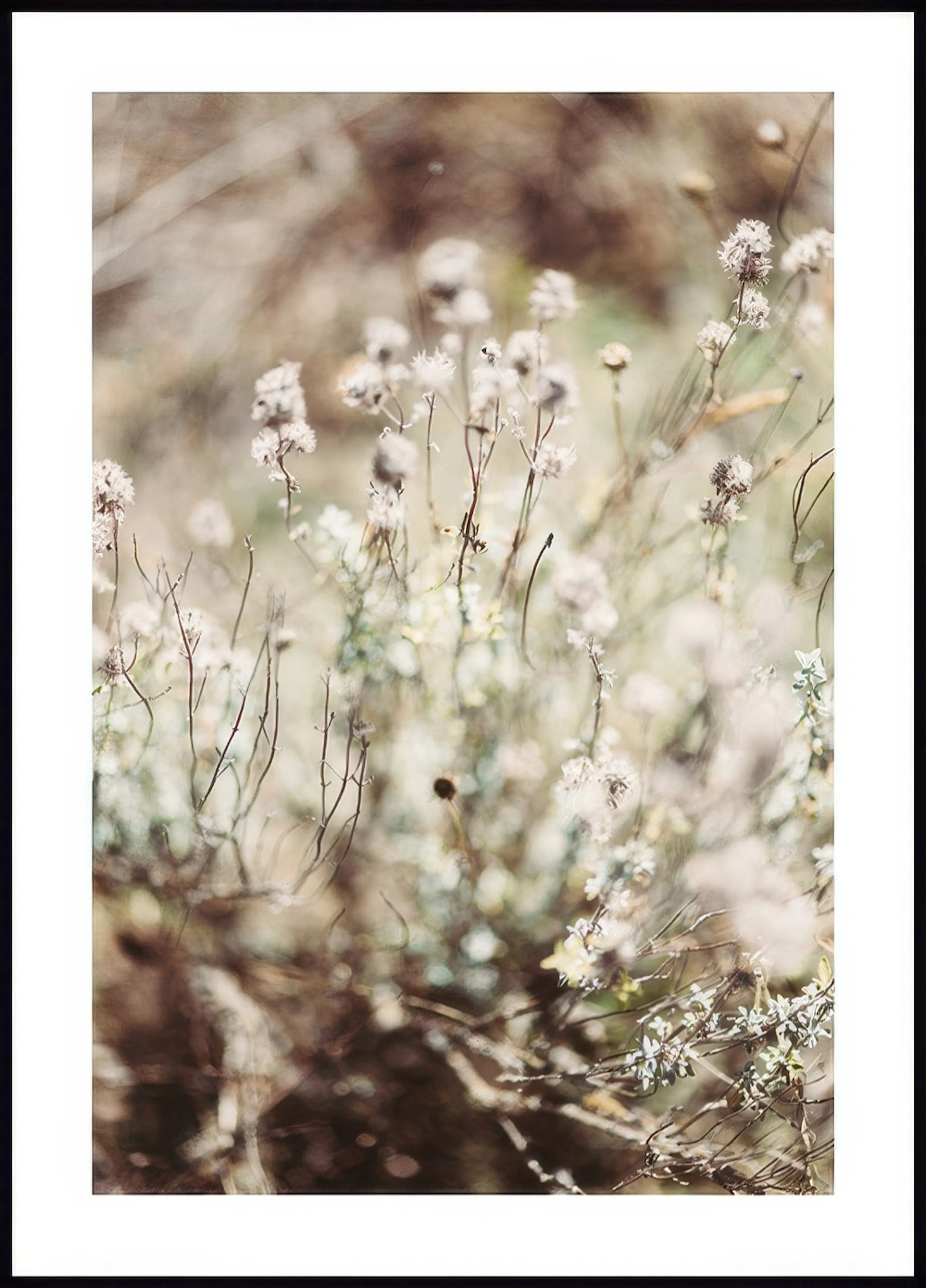 A poster featuring a close-up of dried flowers and delicate branches in soft muted tones.