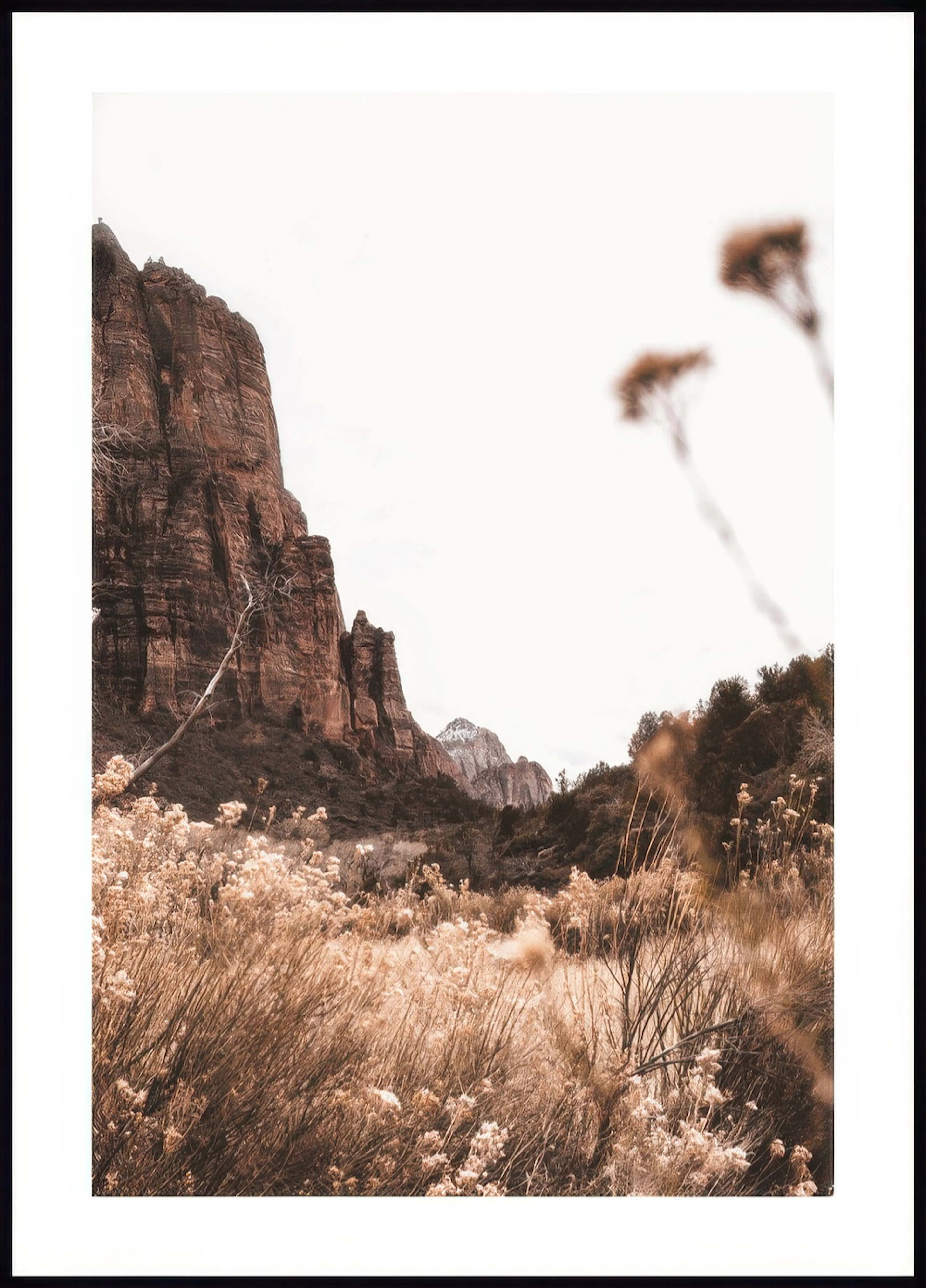 A poster featuring a landscape with a field of dry, light brown grass and plants, and large reddish-brown mountains.