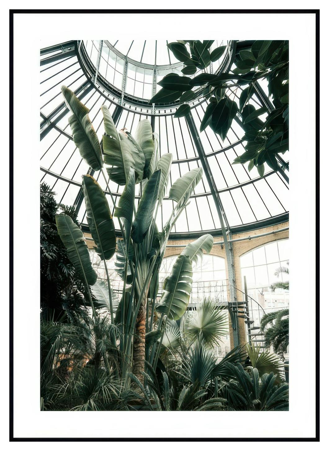 Plantenkas Poster (21x30 cm) - Poster Store