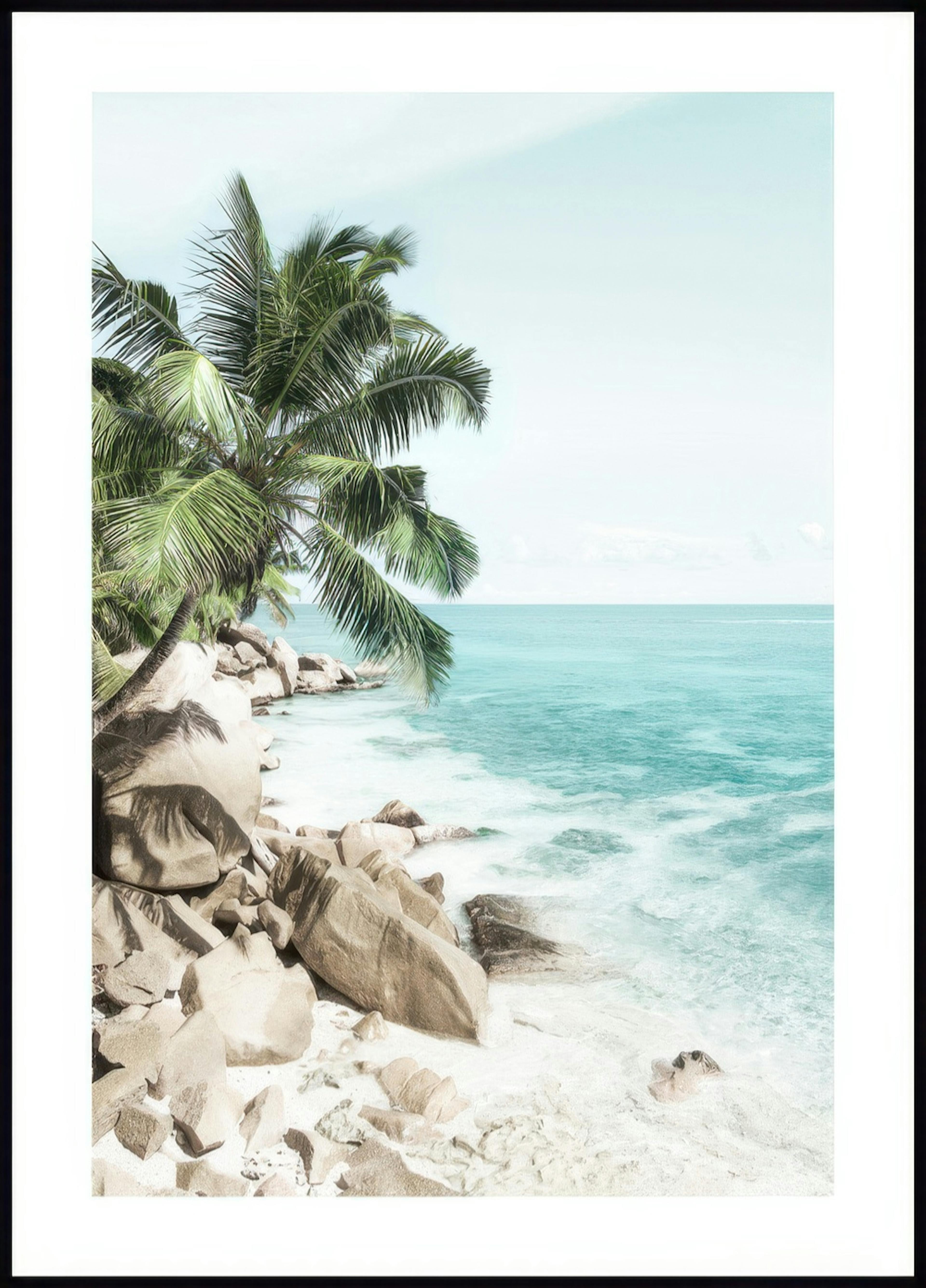Rêve Caribéen Poster 0