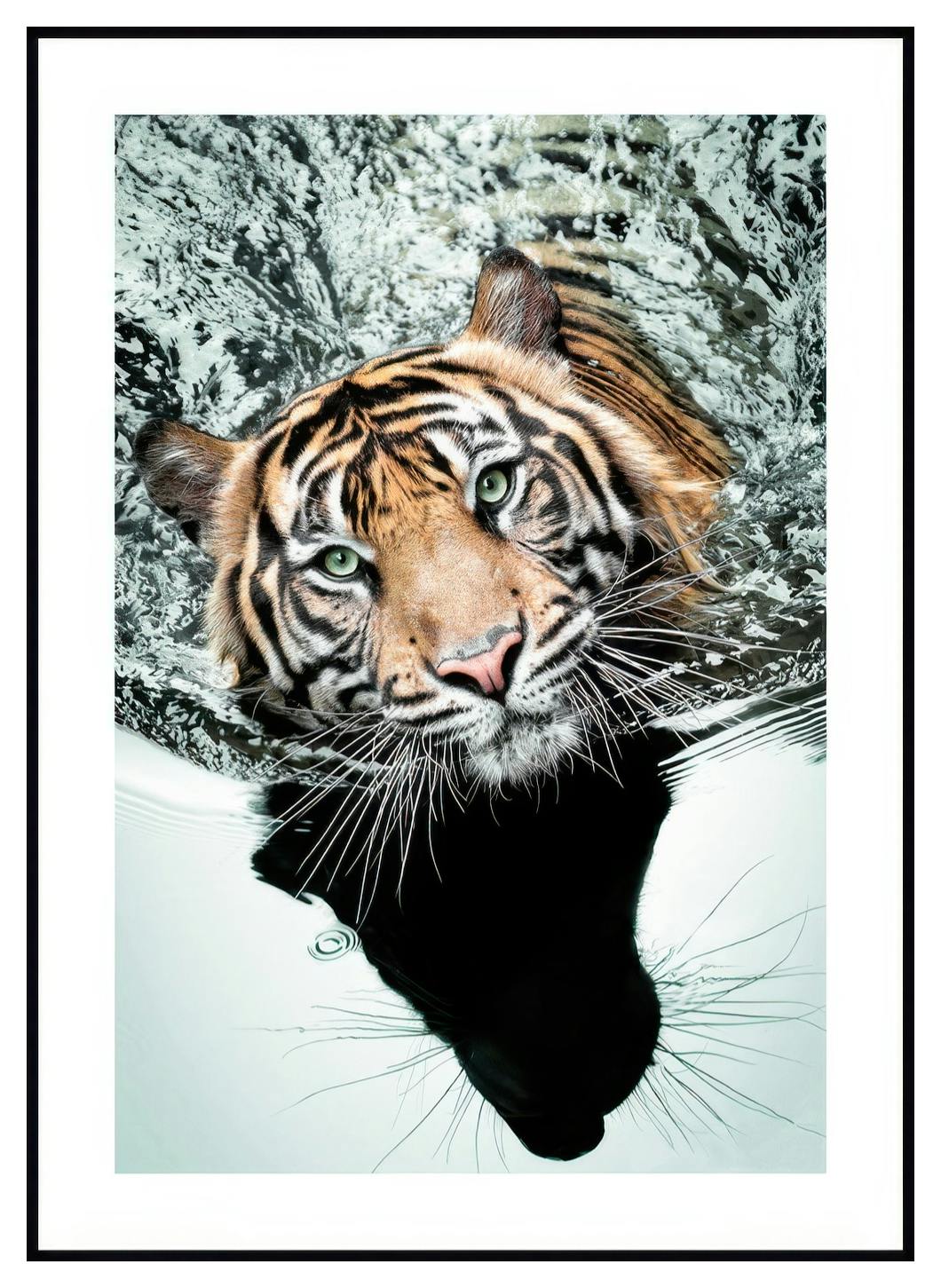 Simmande Tiger Poster (30x40 cm) - Poster Store