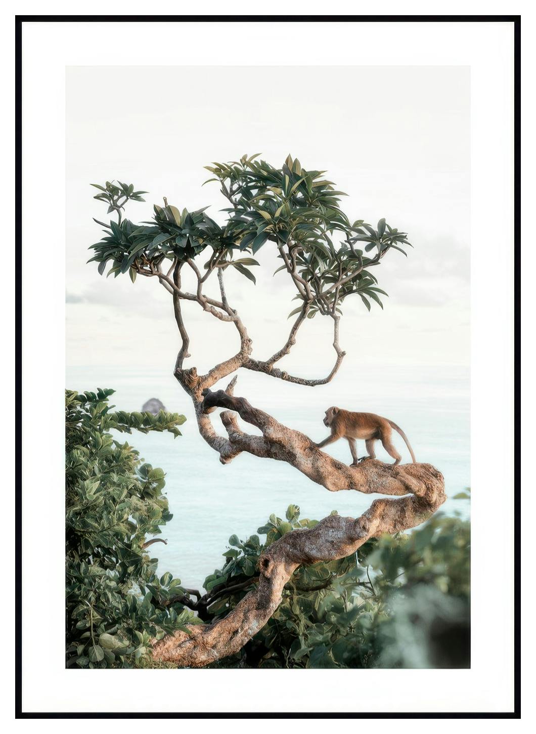 Aap in de Boom Poster (21x30 cm) - Poster Store