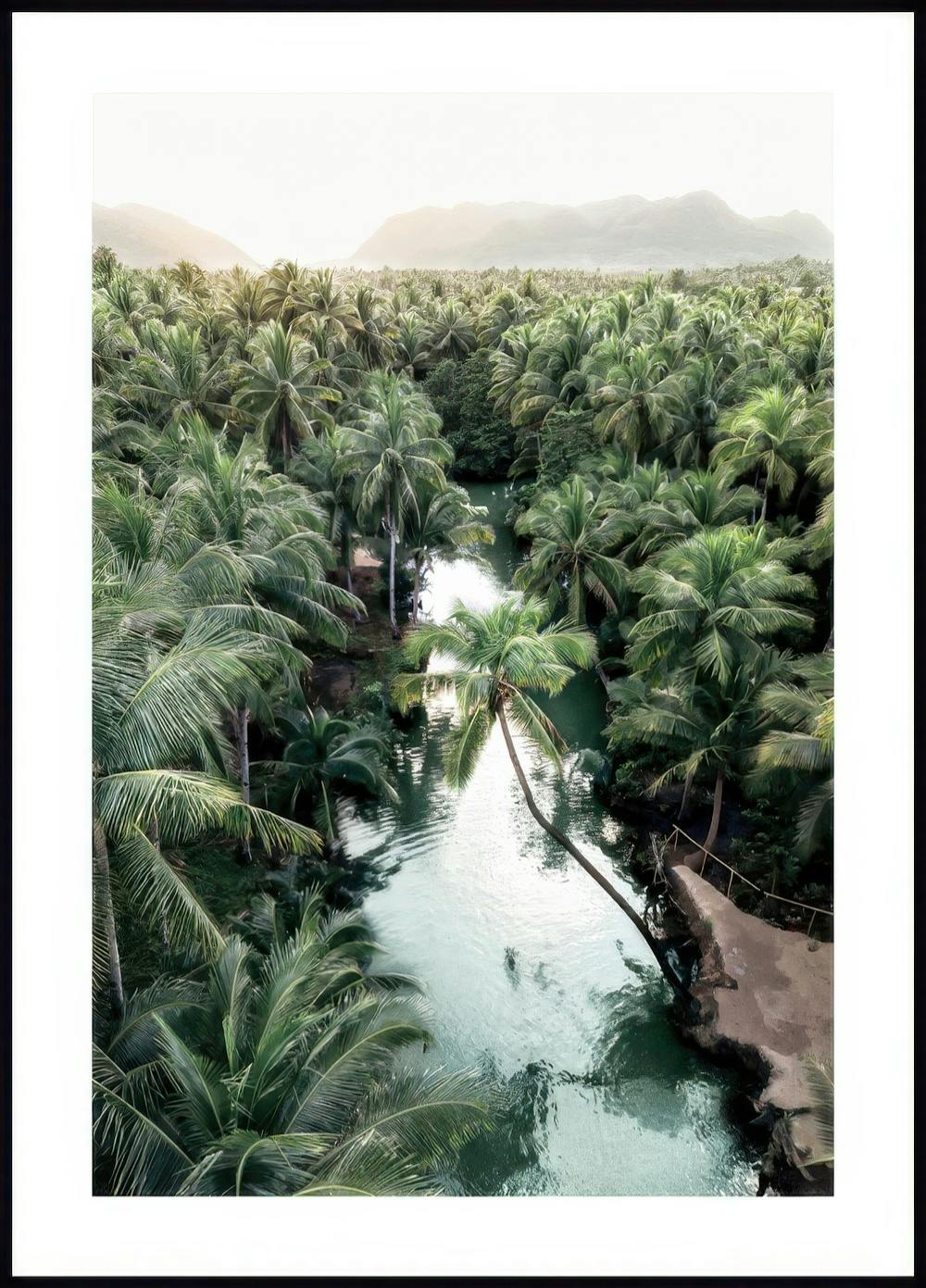 Palmbos Poster 0