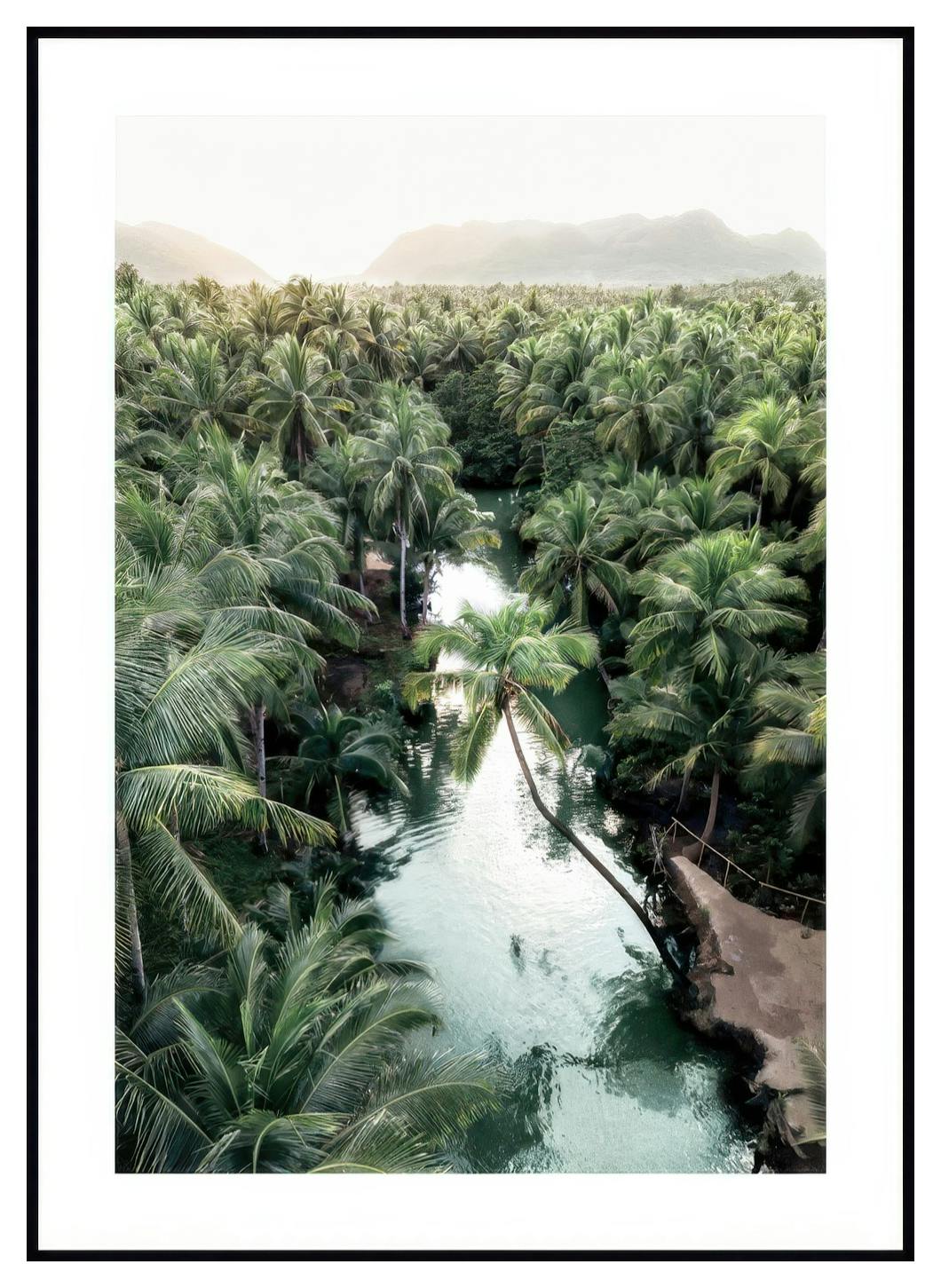 Palm Djungel Poster (30x40 cm) - Poster Store