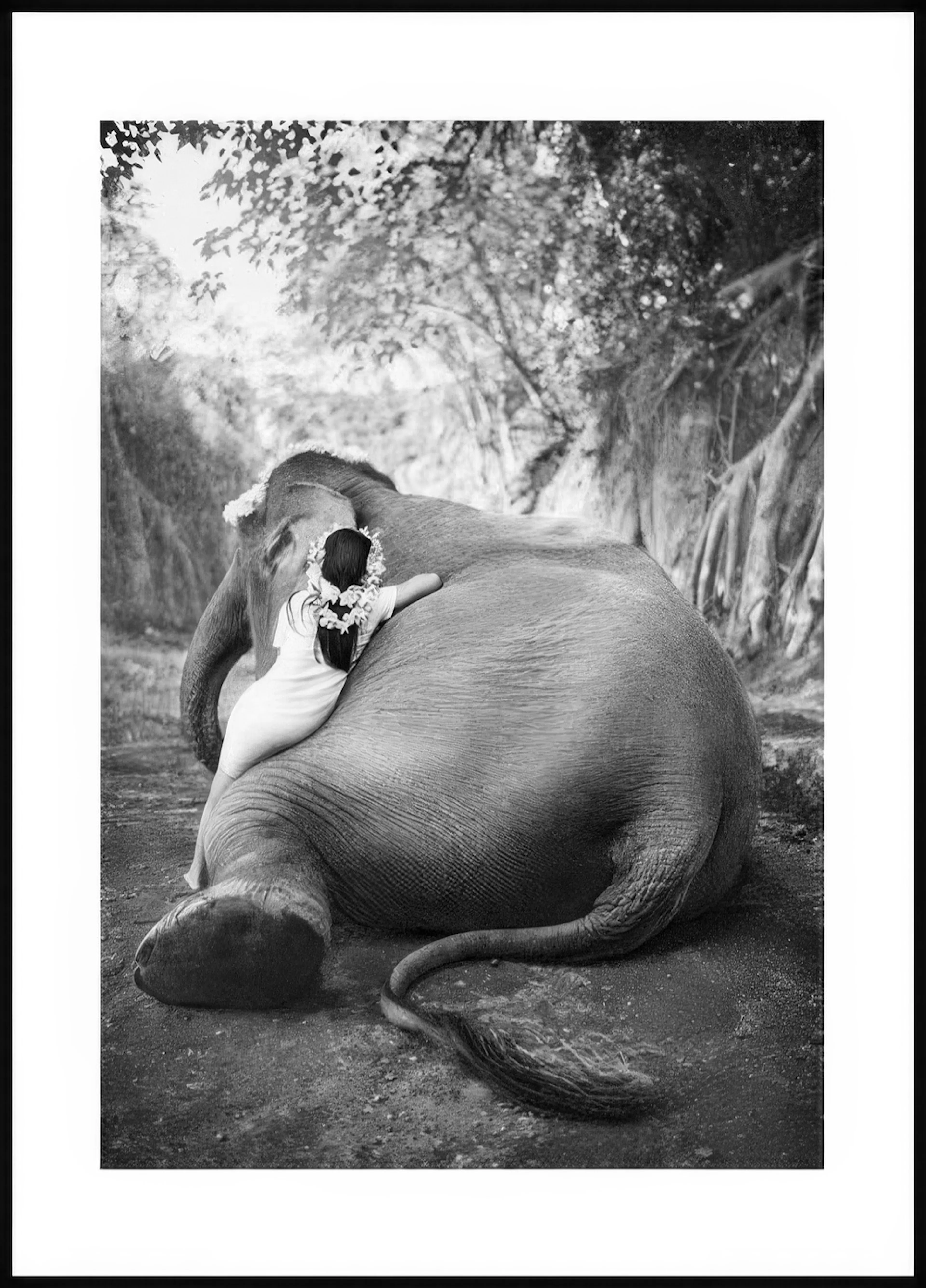A poster of a young girl with a flower garland embracing an elephant in a black and white jungle setting.