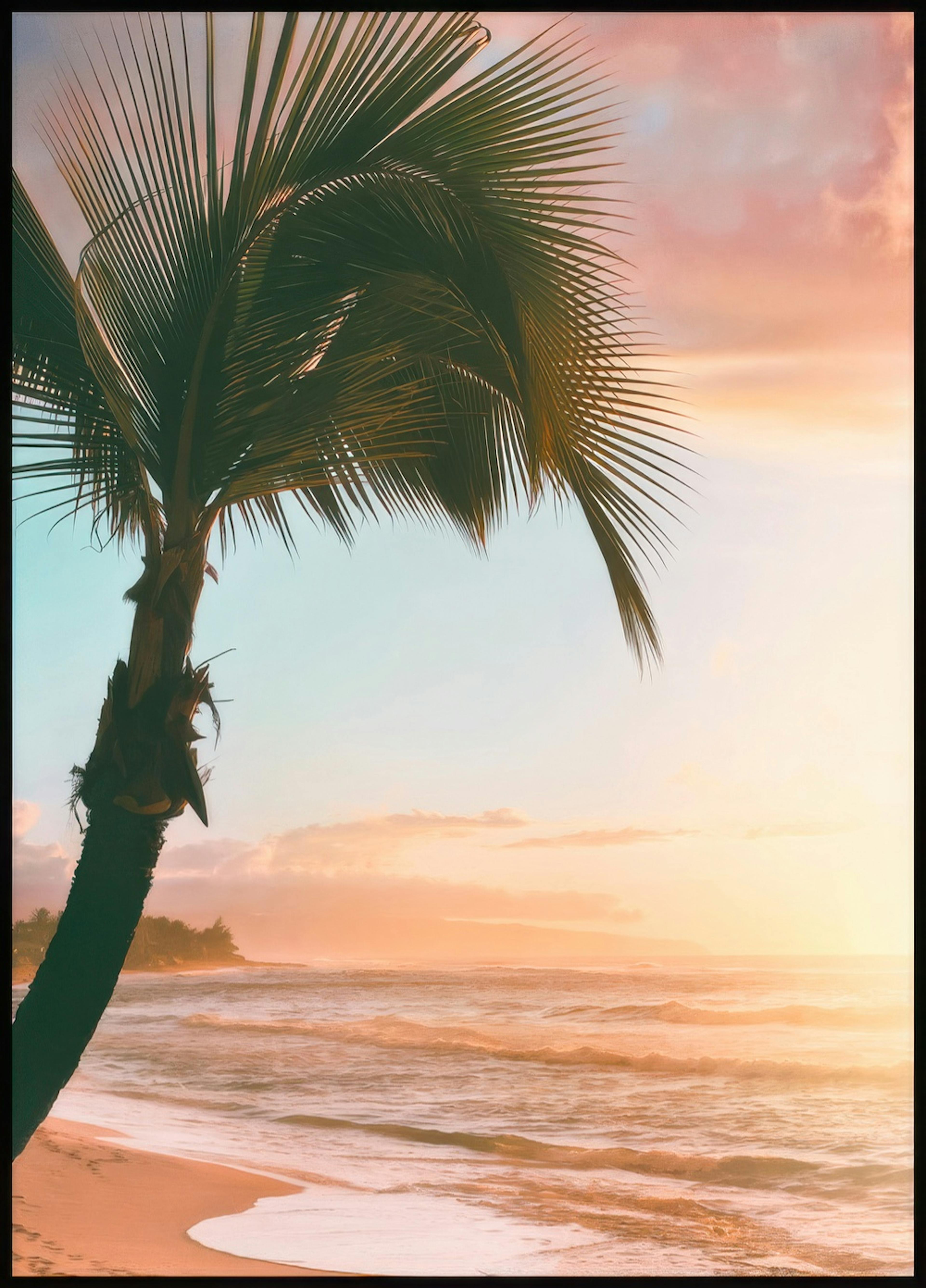 Palmera Atardecer Póster 0