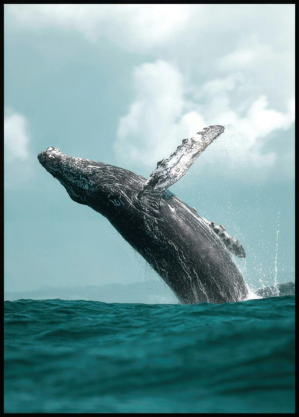 Salto de Ballena Póster 0