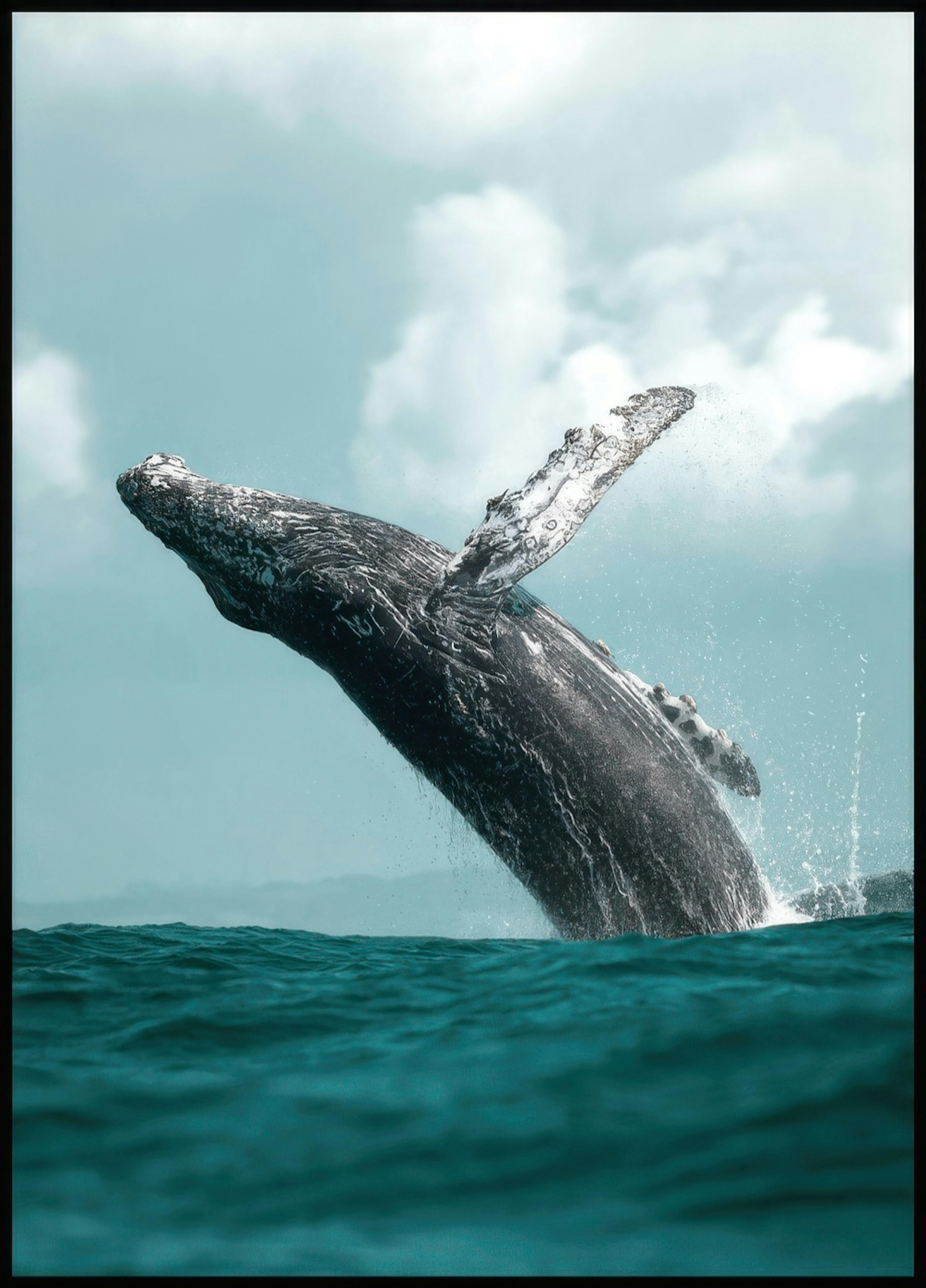 Springender Wal Poster 0