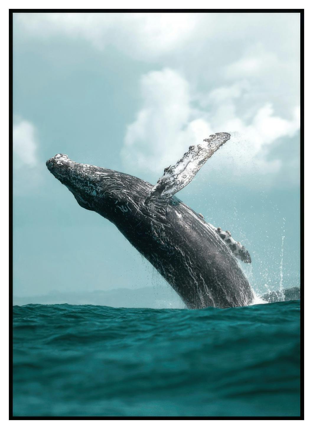 Hoppande Val Poster (30x40 cm) - Poster Store