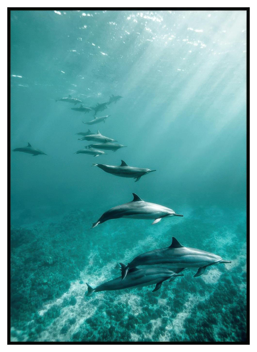 Oceaan Dolfijnen Poster (21x30 cm) - Poster Store