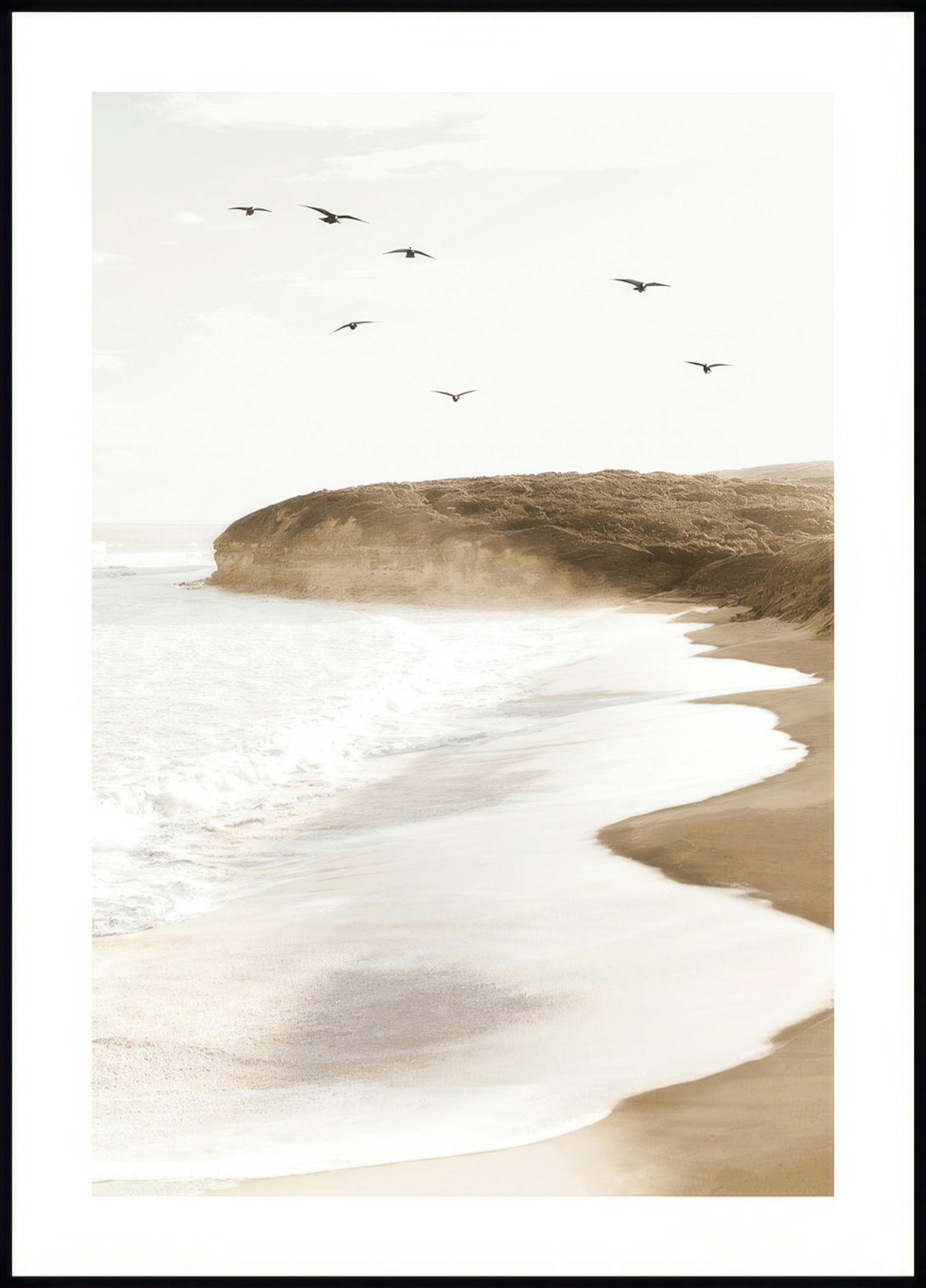 Ocean Beach Birds Poster 0