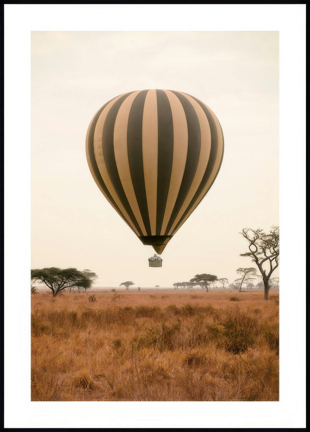 Savanne Heißluftballon Poster 0