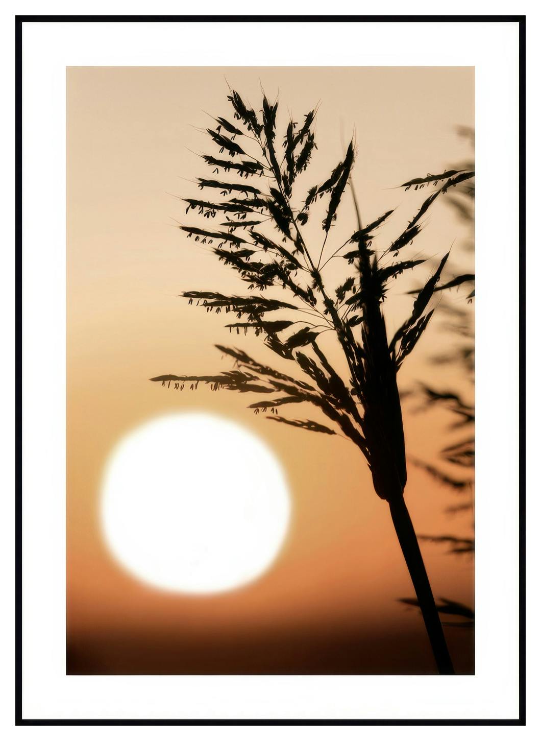 Plakat Złoty Zachód Słońca (30x40 cm) - Poster Store