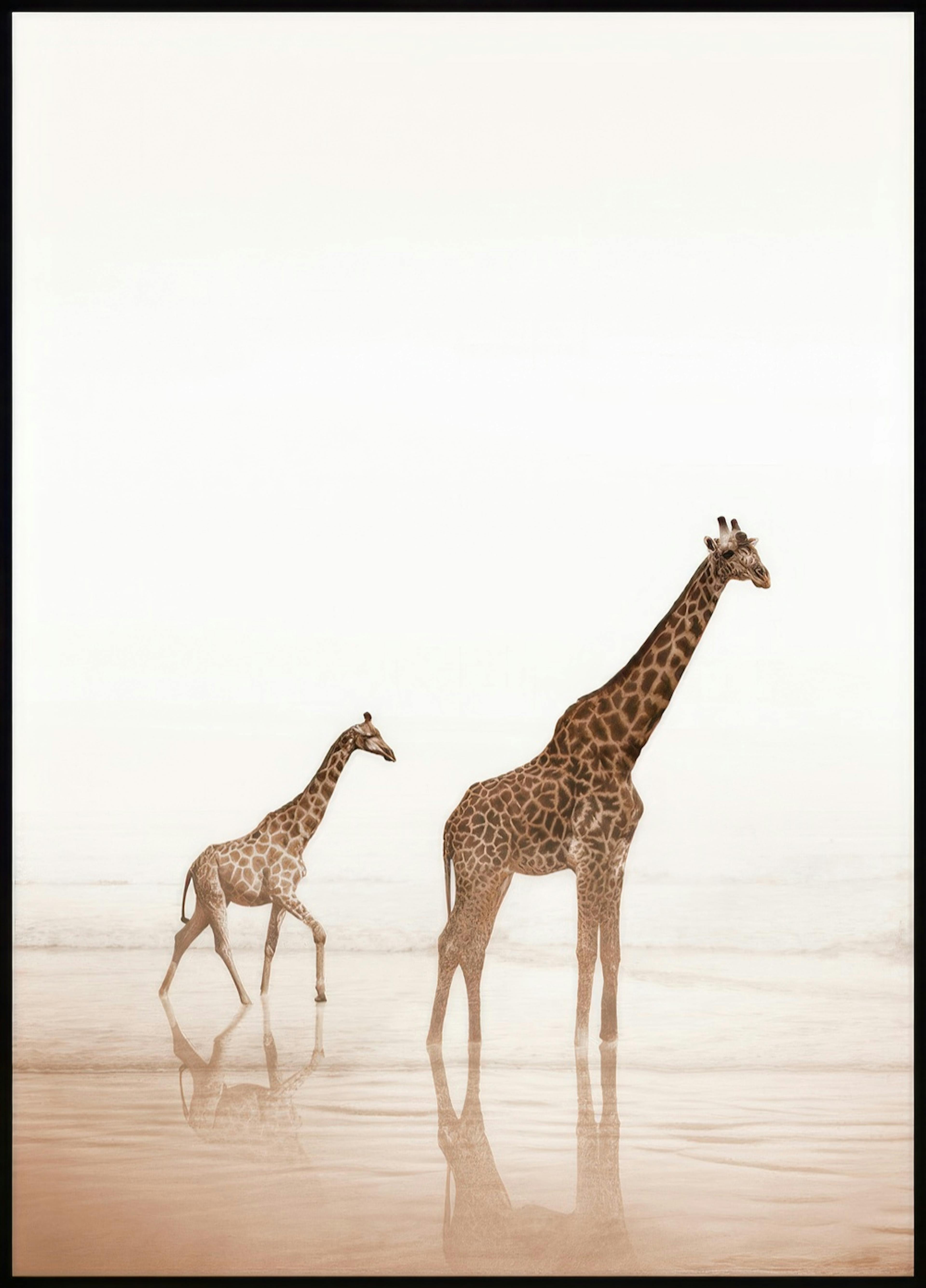 Giraffen aan het Strand Poster 0