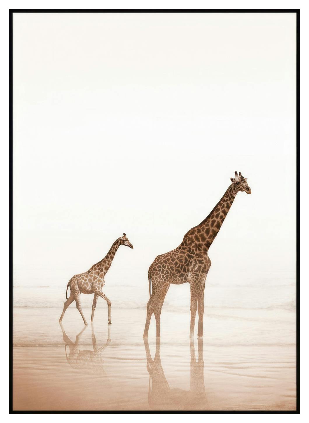 Giraffen aan het Strand Poster (30x40 cm) - Poster Store