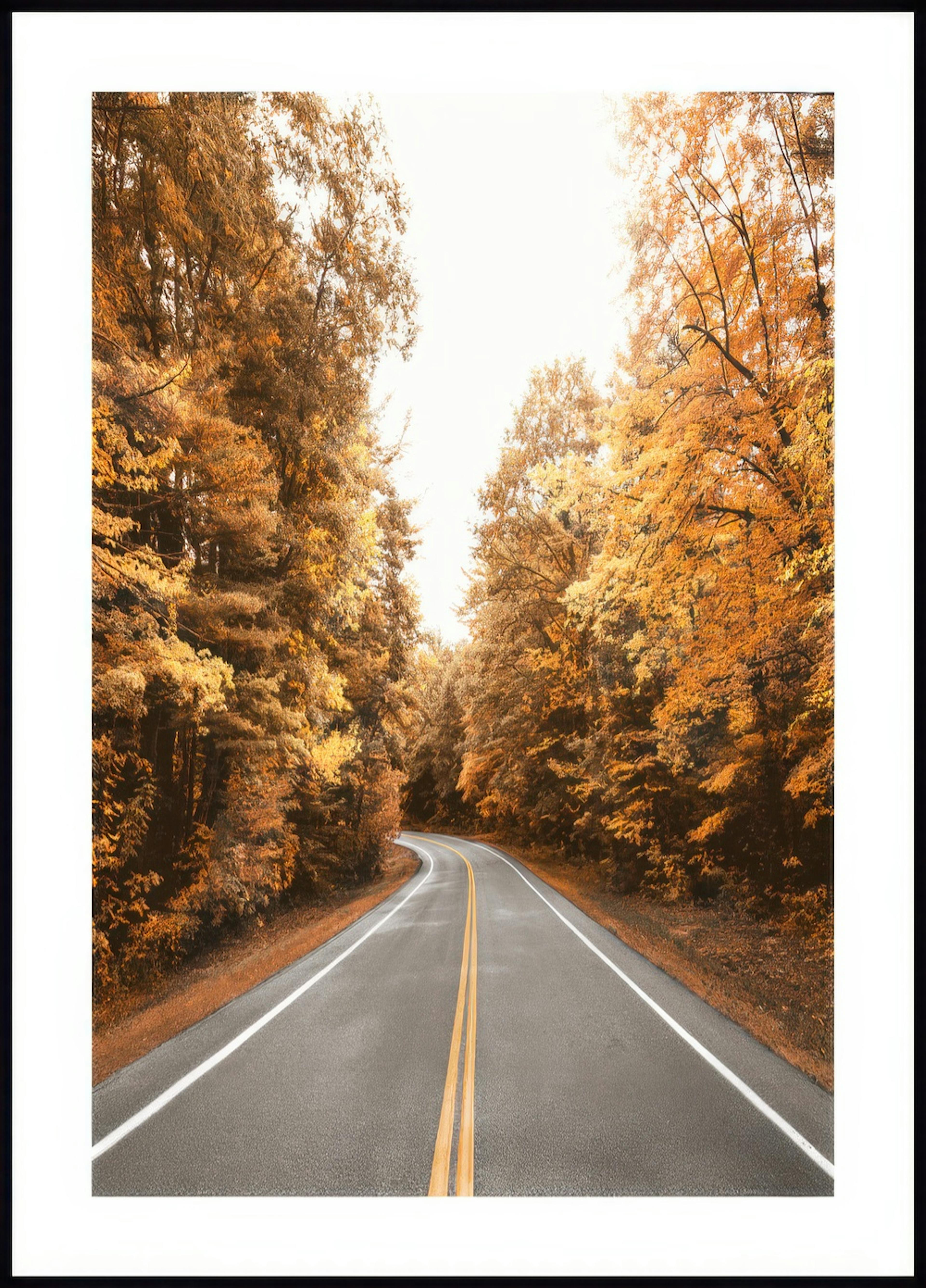 Route Automne Poster 0
