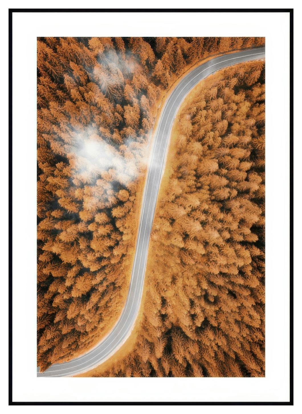 Höst från Ovan Poster (30x40 cm) - Poster Store