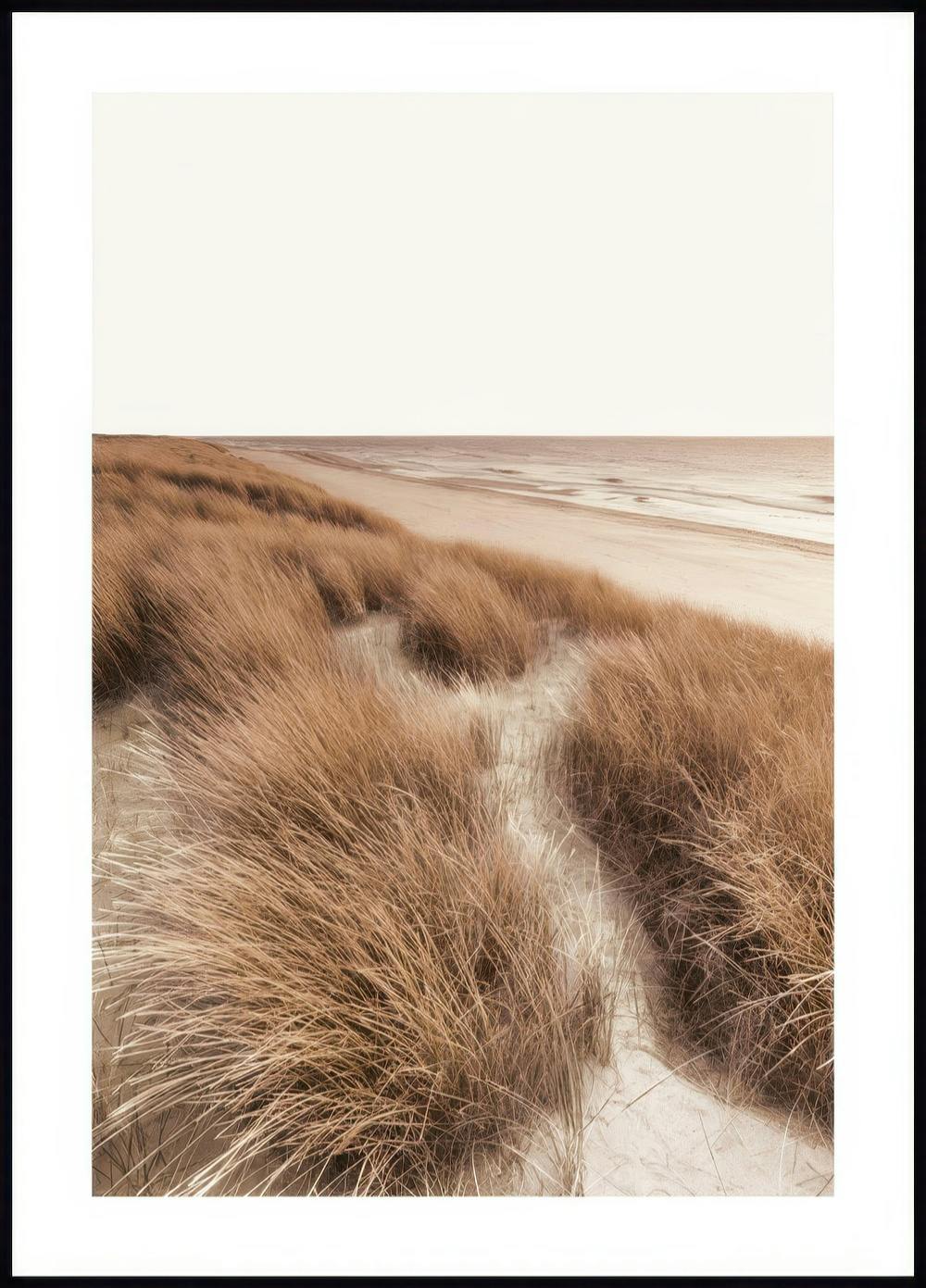 Düne Strand Poster 0