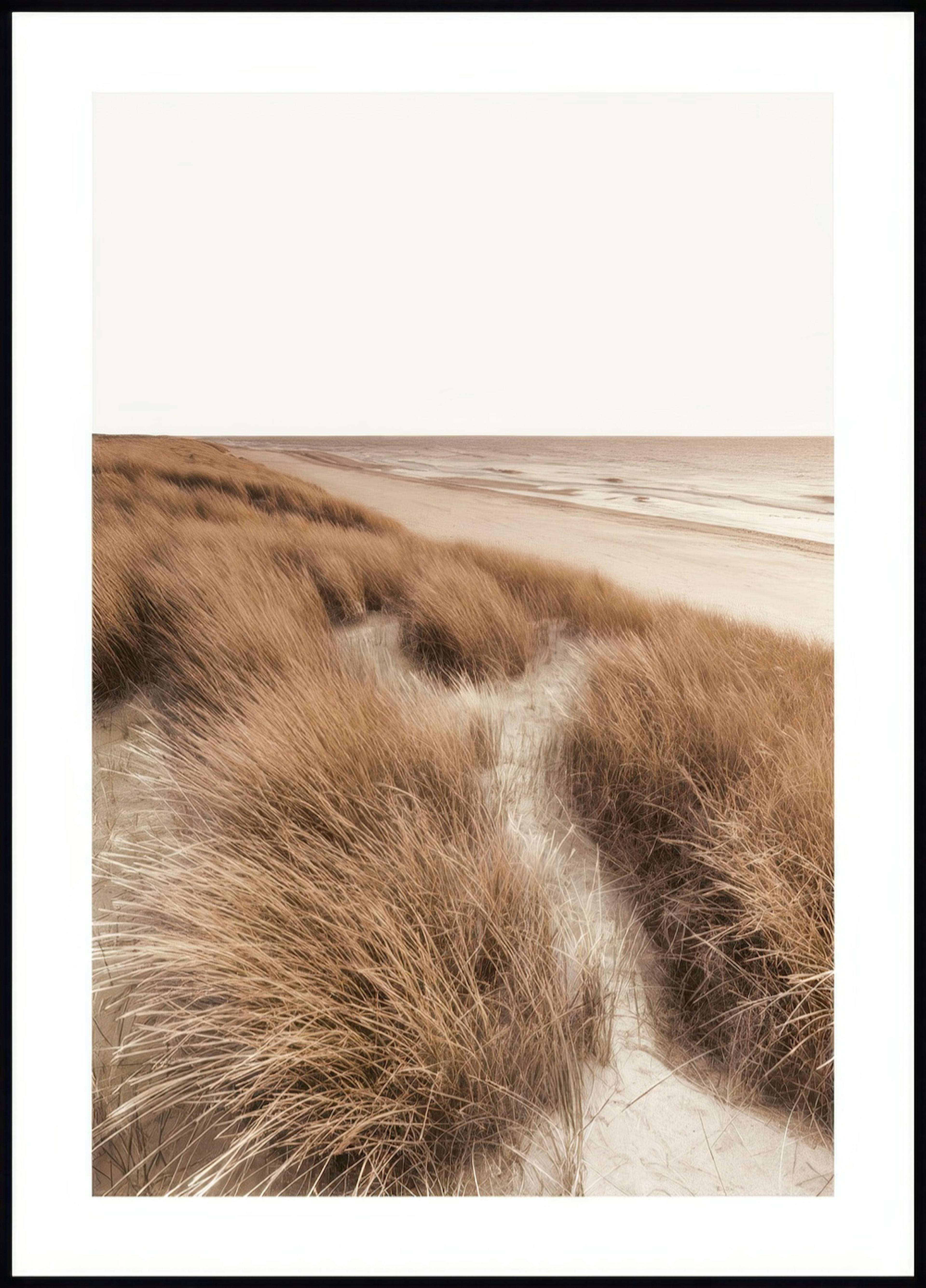 Beach Dunes Poster 0