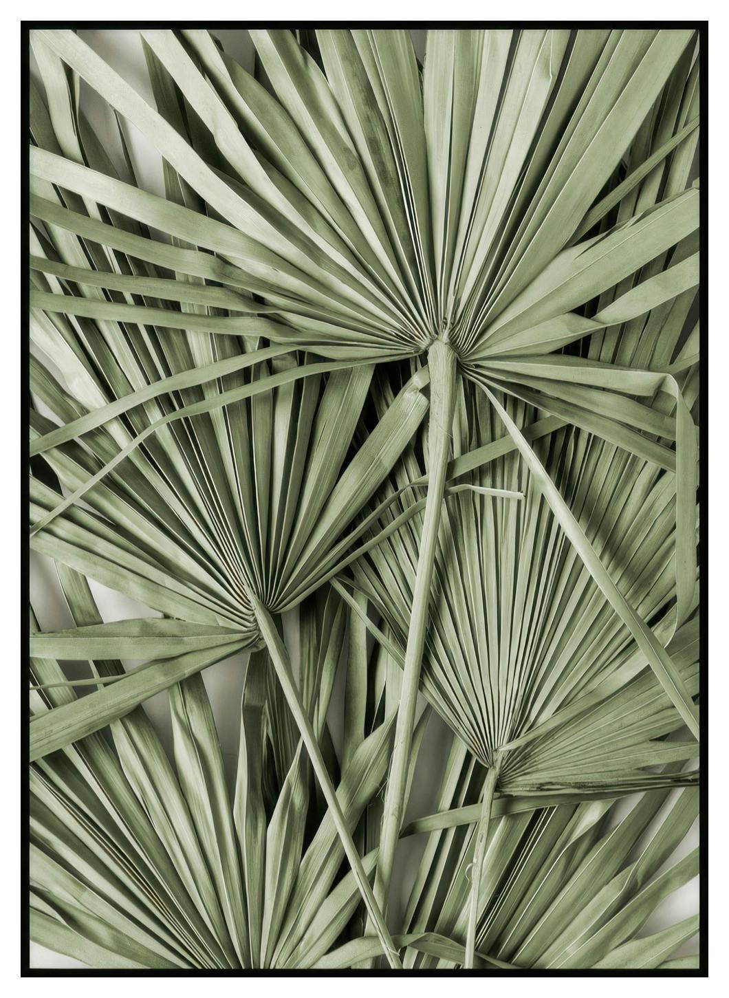 Grønne Tropiske Blader Poster (30x40 cm) - Poster Store
