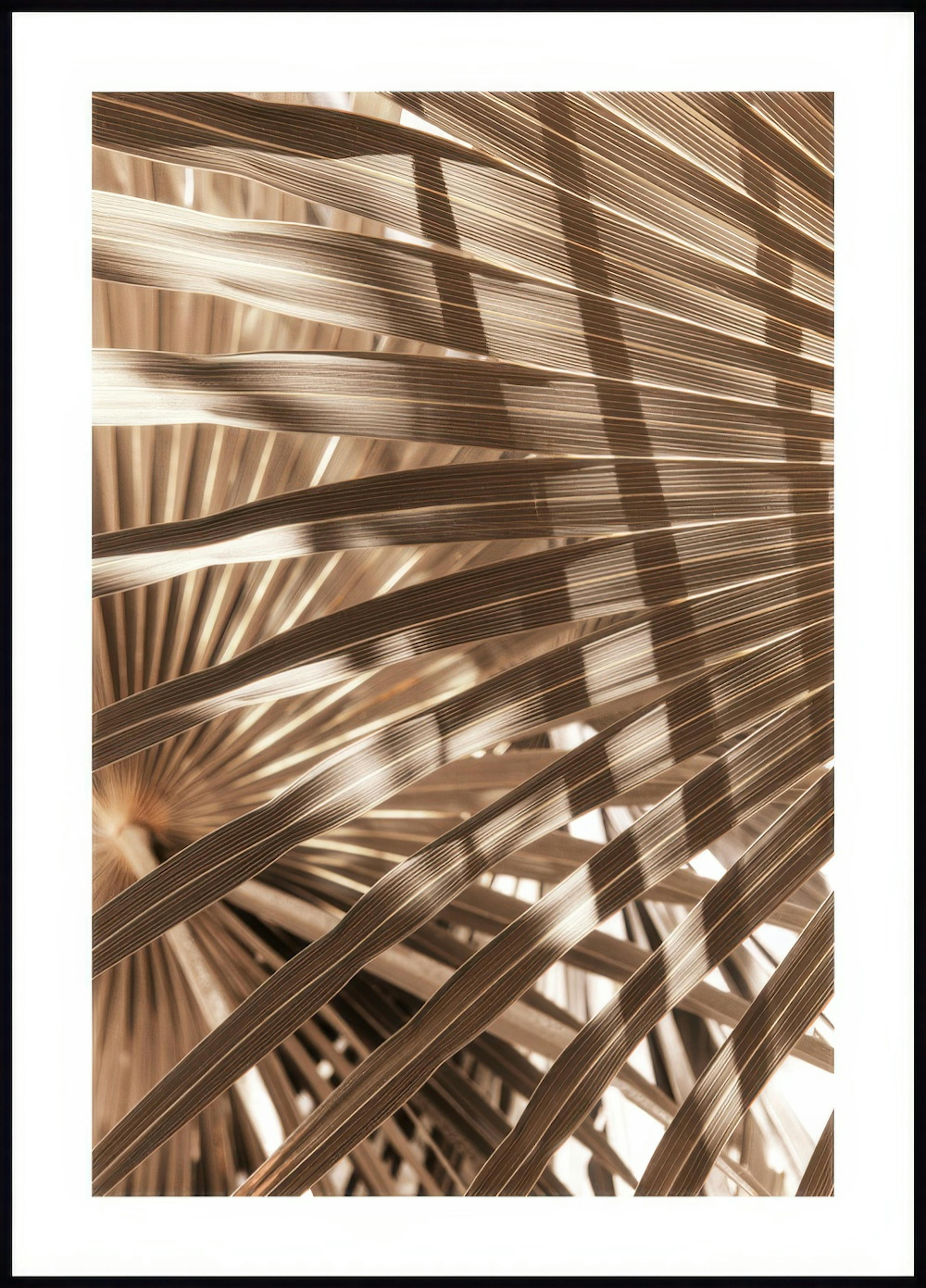 Brown Palm Leaves Poster 0